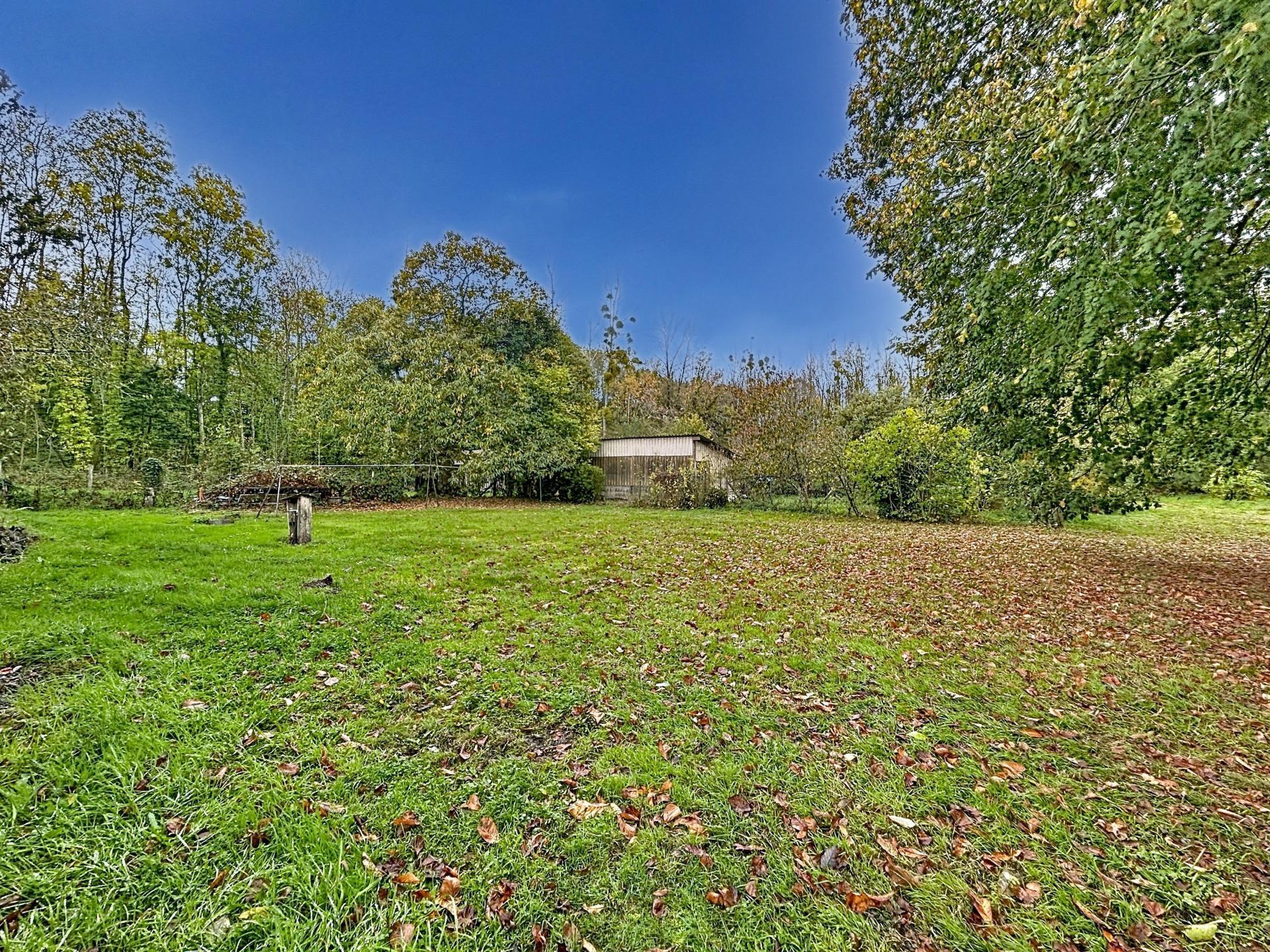 Miniature photo - 6 / 6