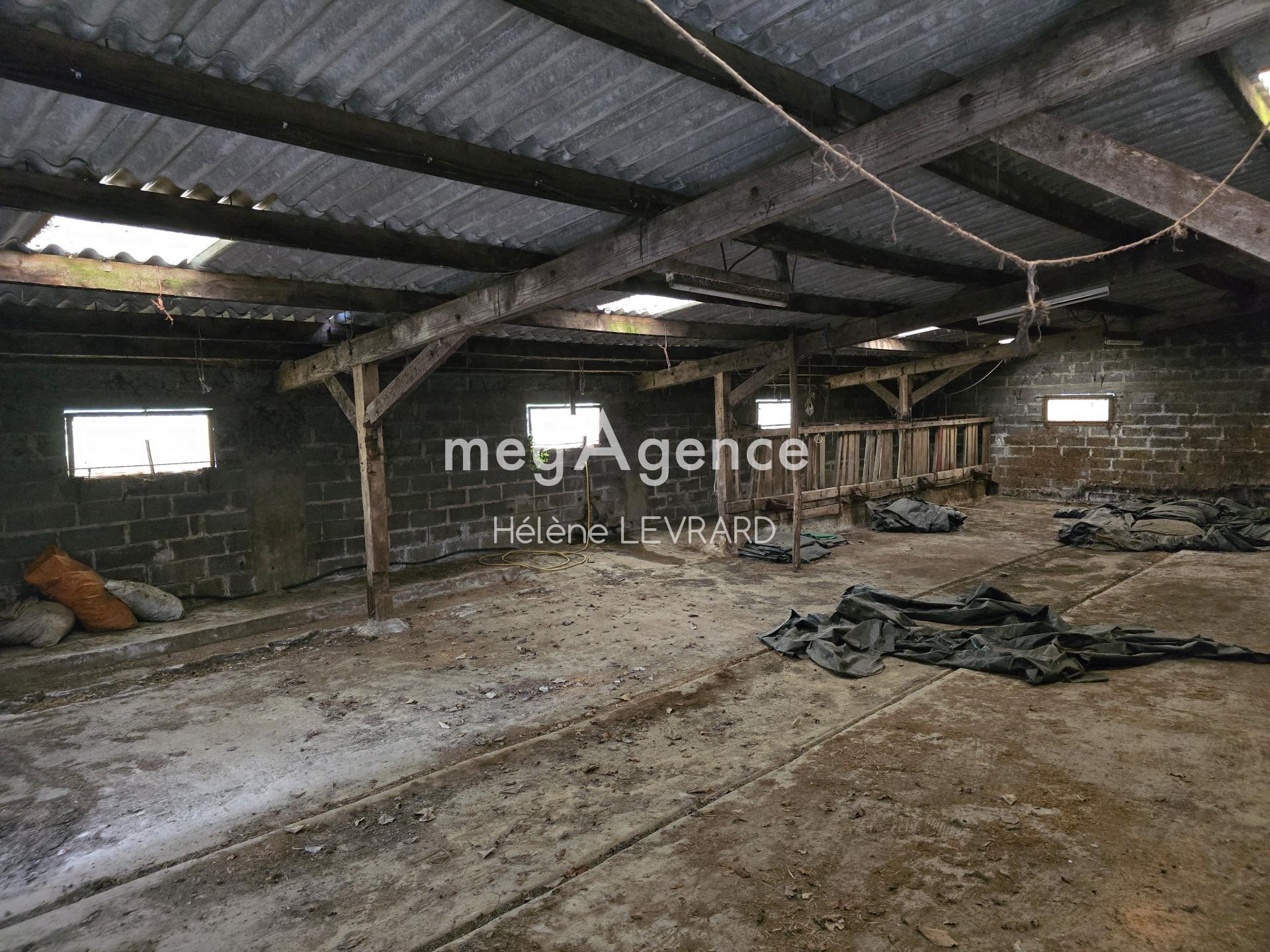 Miniature photo - 8 / 8