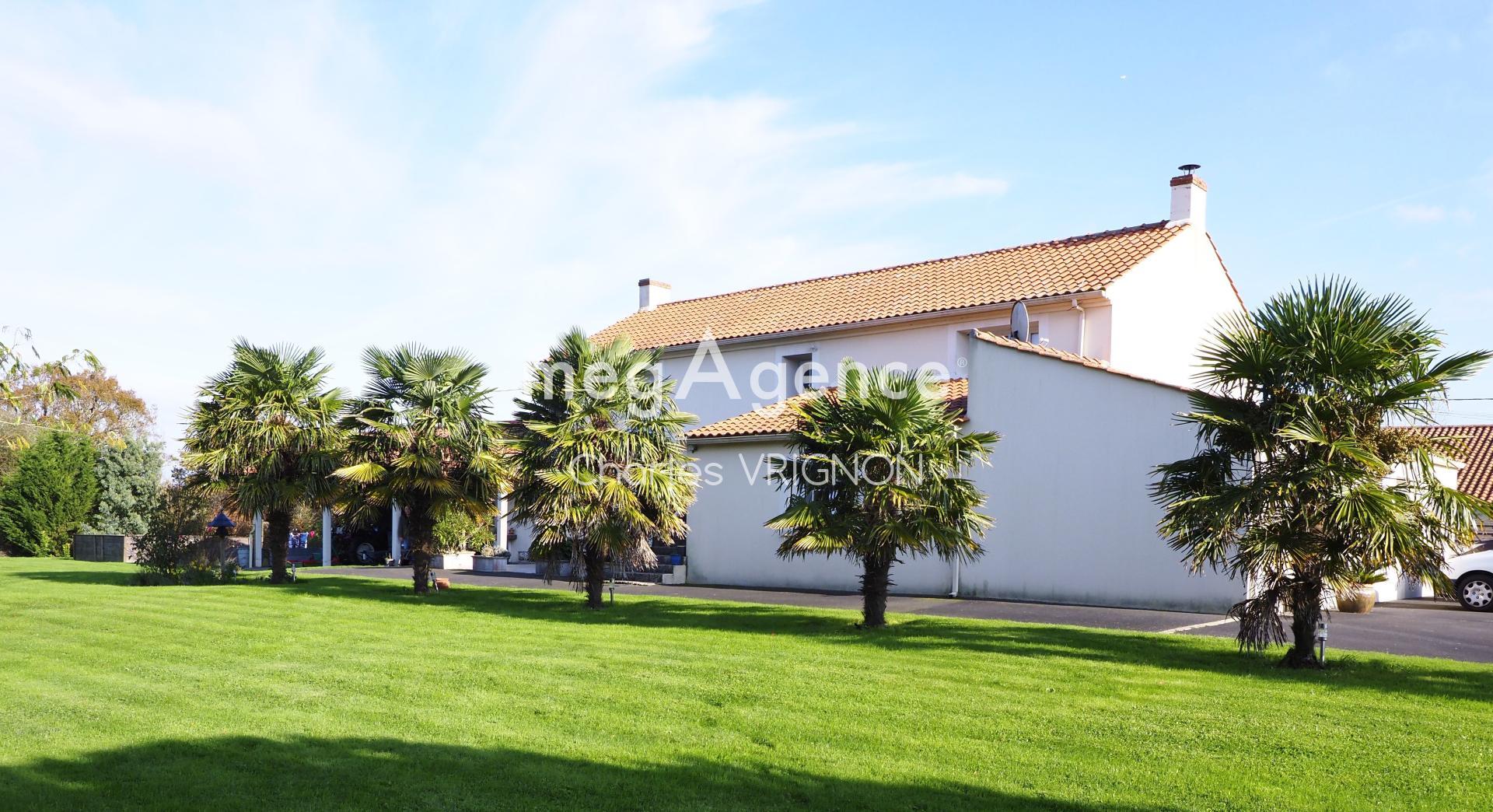 Miniature photo - 4 / 10