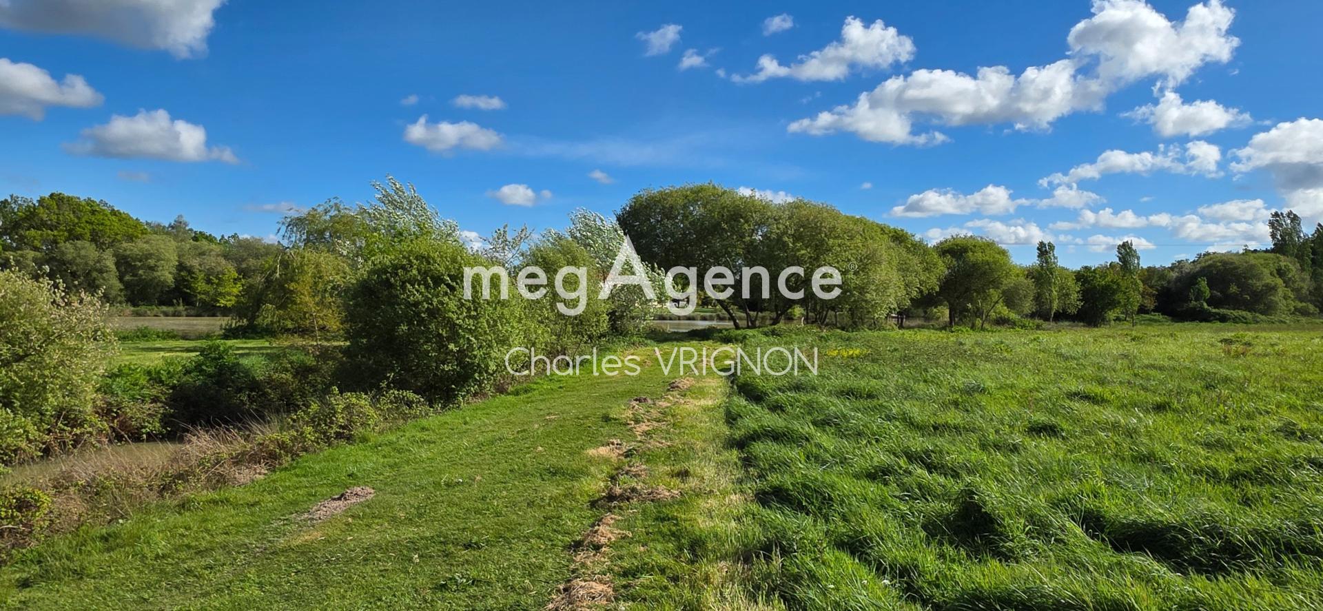 Miniature photo - 10 / 10