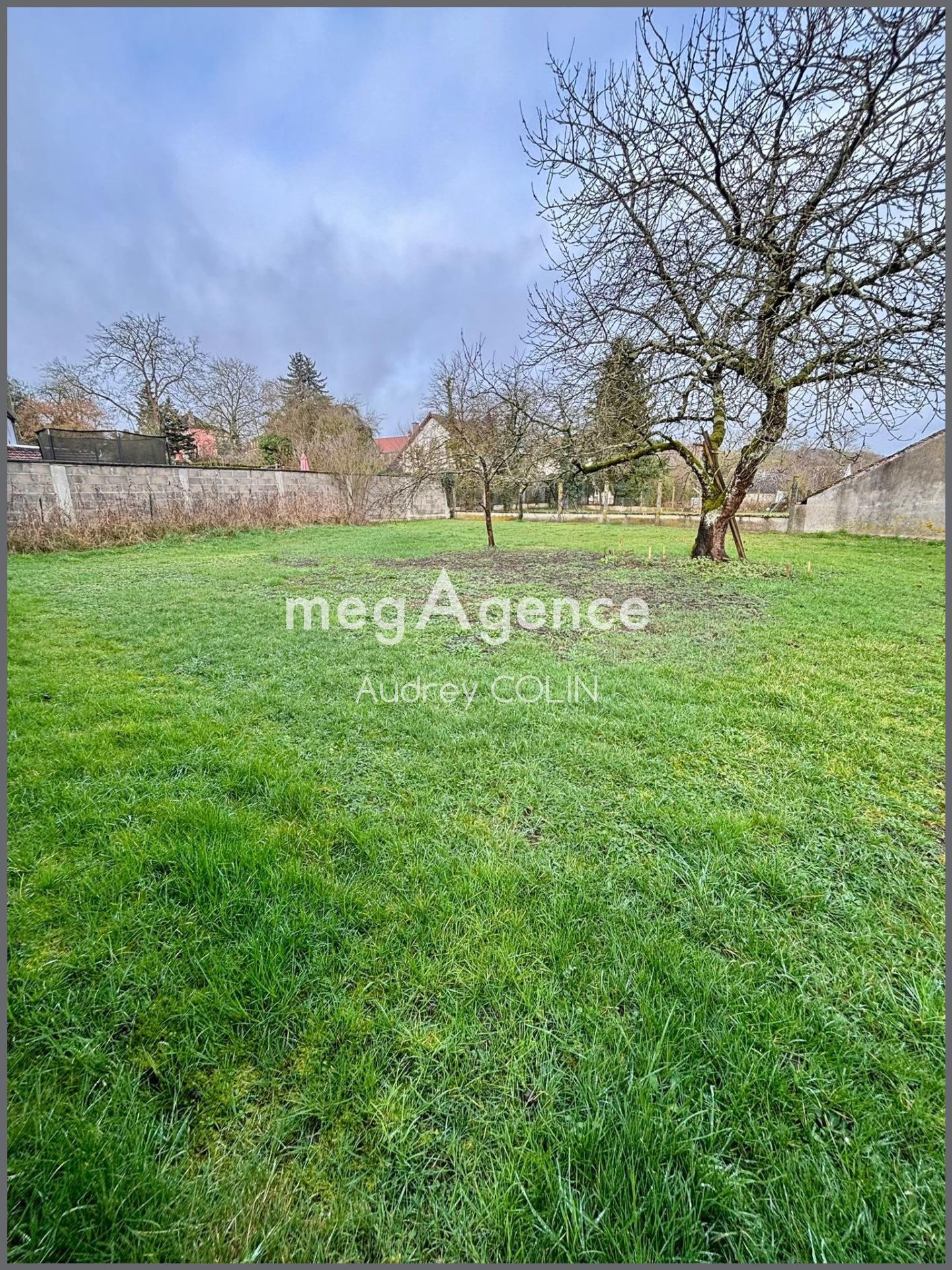 Miniature photo - 10 / 10