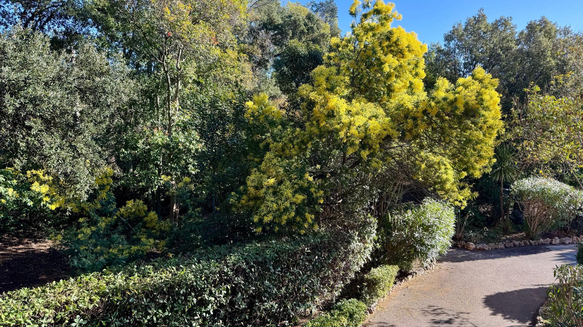 Miniature photo - 8 / 9