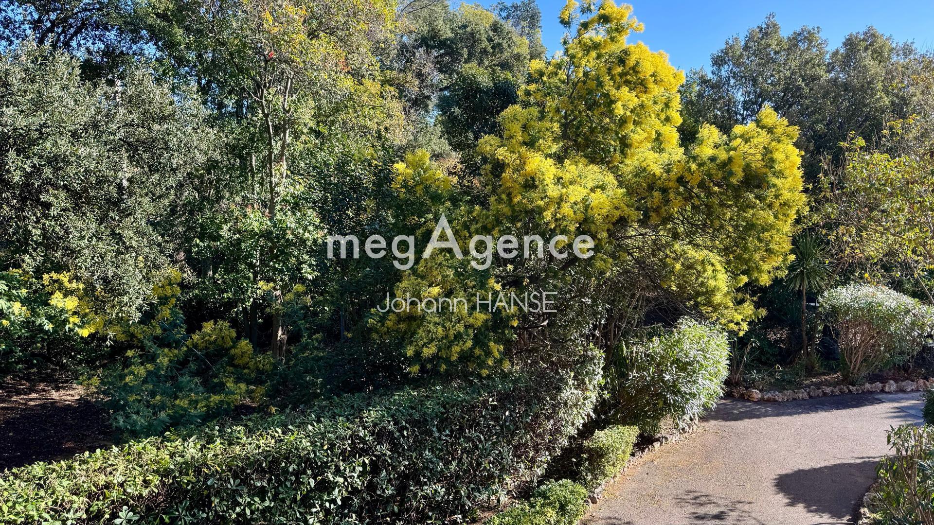 Miniature photo - 8 / 9