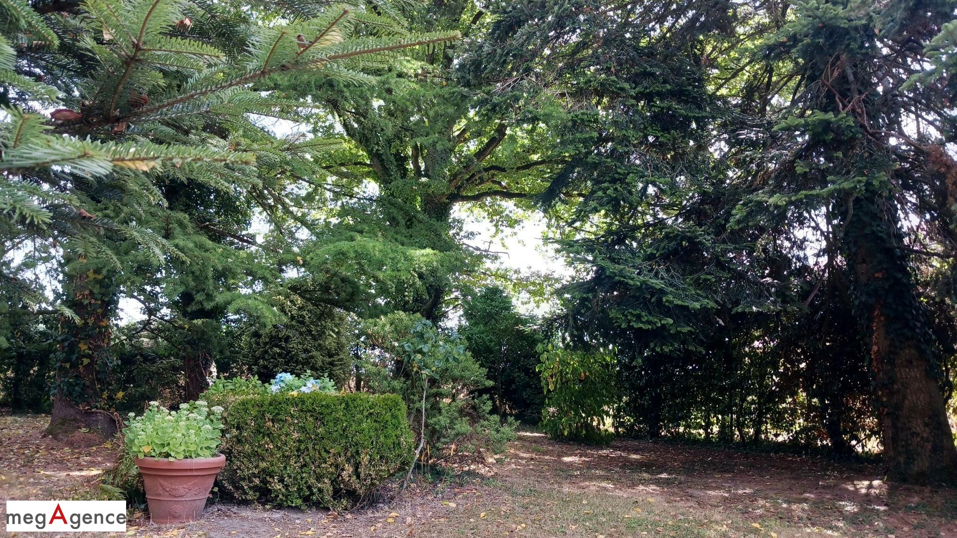 Miniature photo - 4 / 15