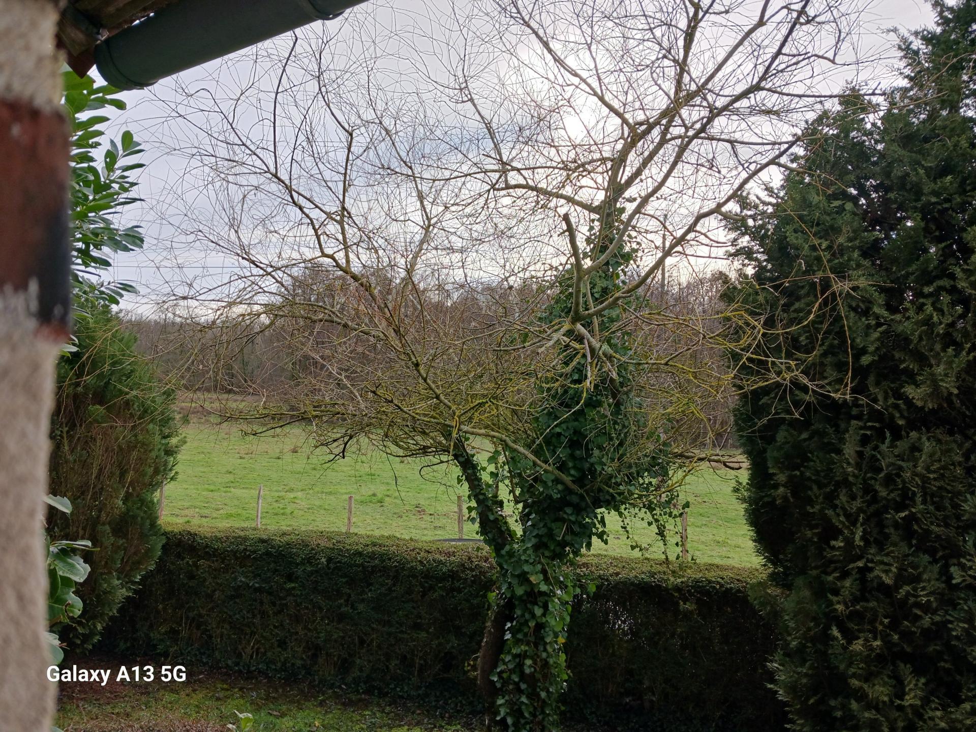 Miniature photo - 15 / 15