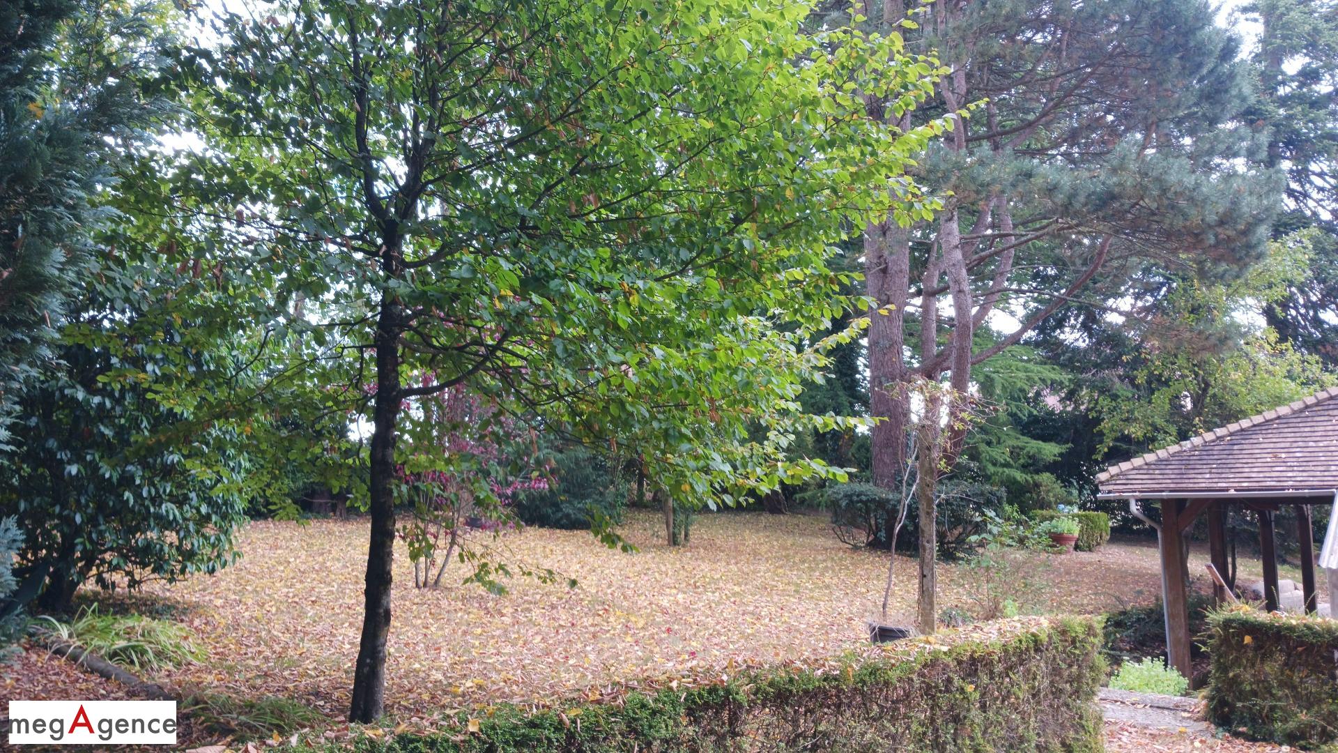 Miniature photo - 6 / 15