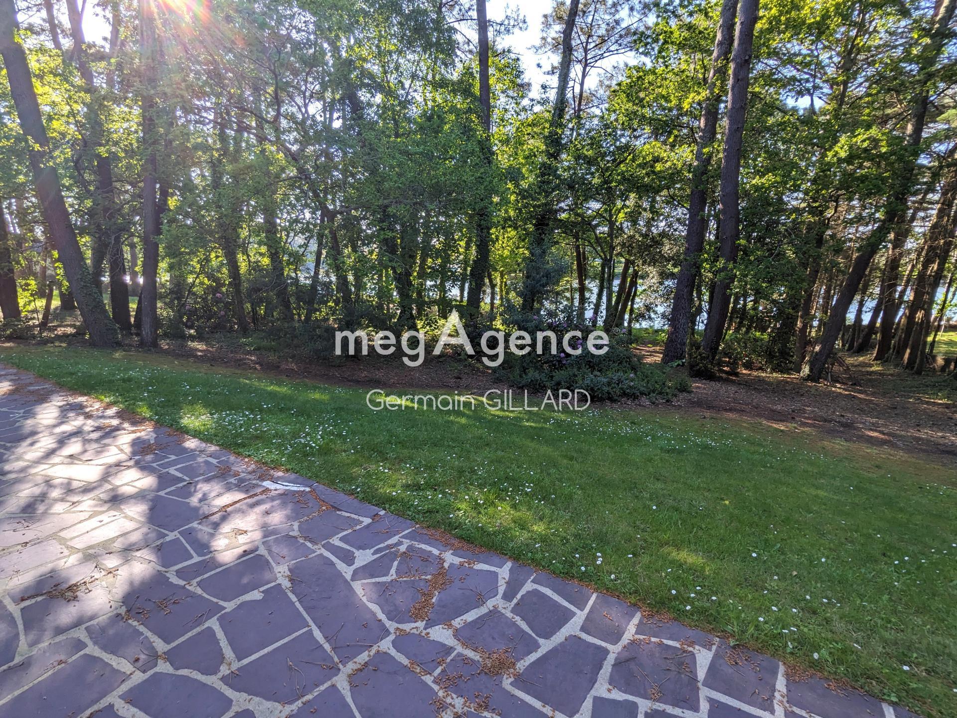 Miniature photo - 3 / 8