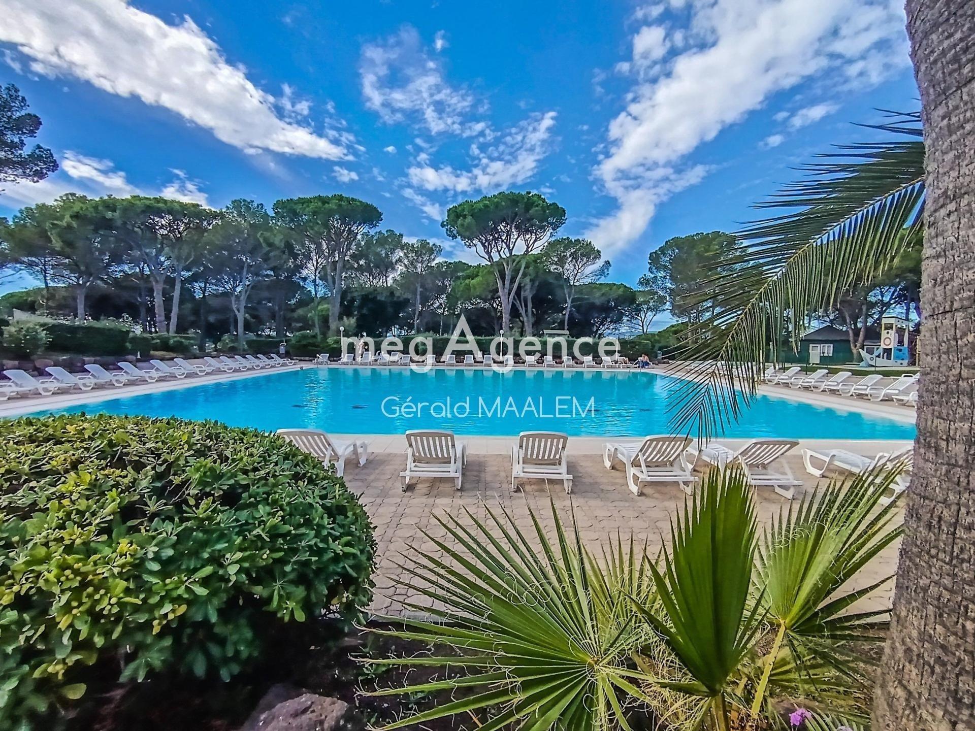 Miniature photo - 2 / 3