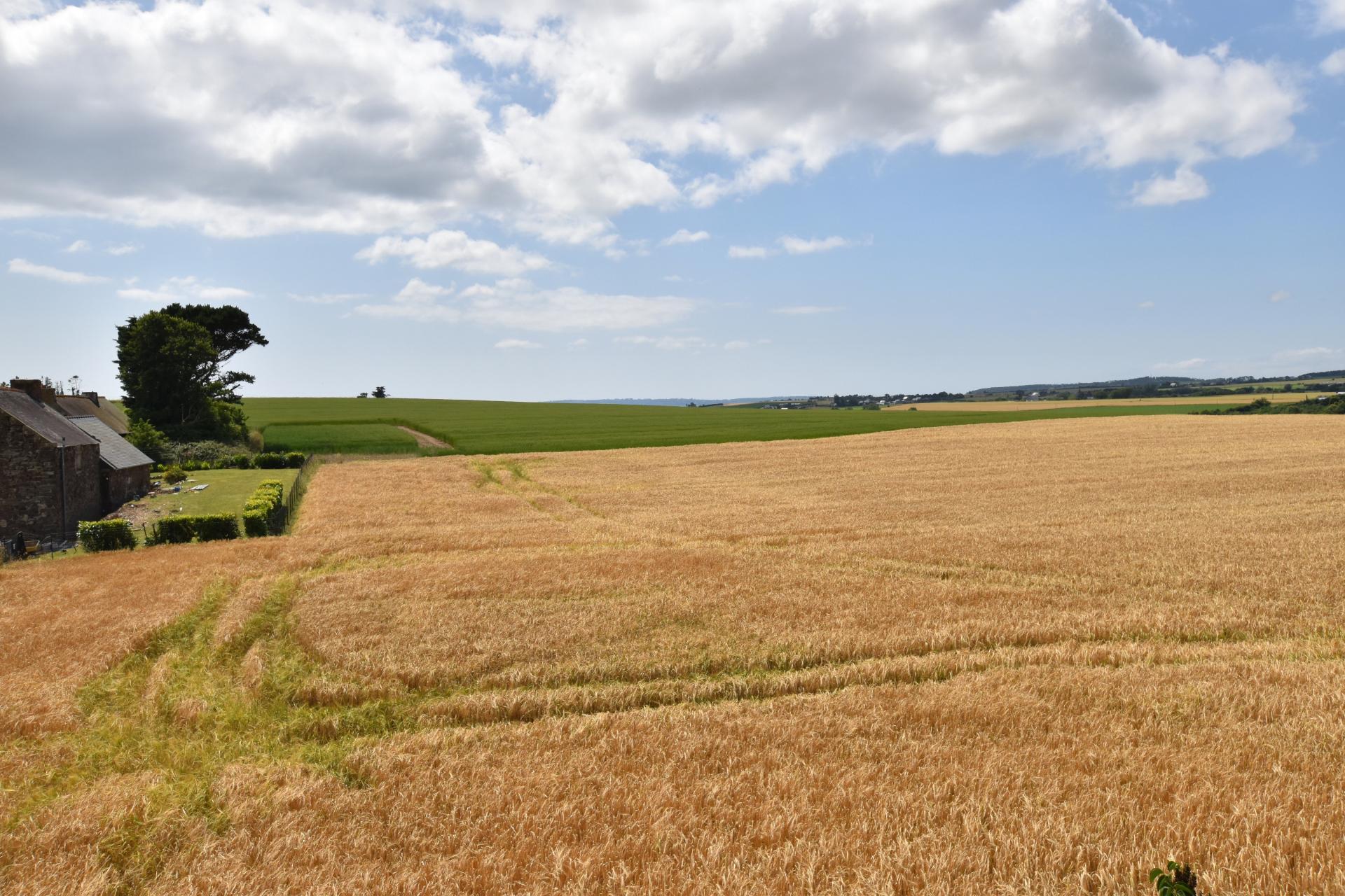 Miniature photo - 11 / 14