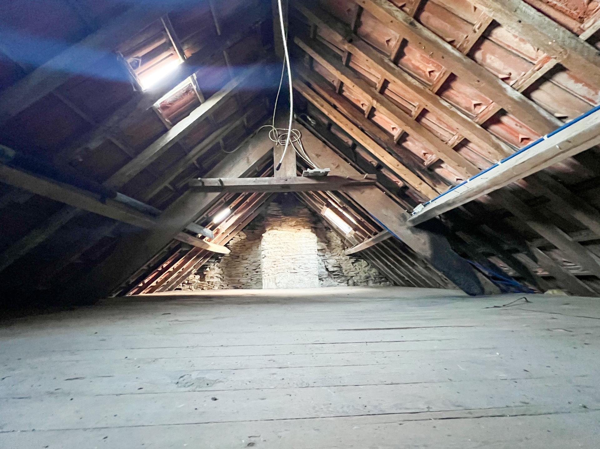 Miniature photo - 7 / 12