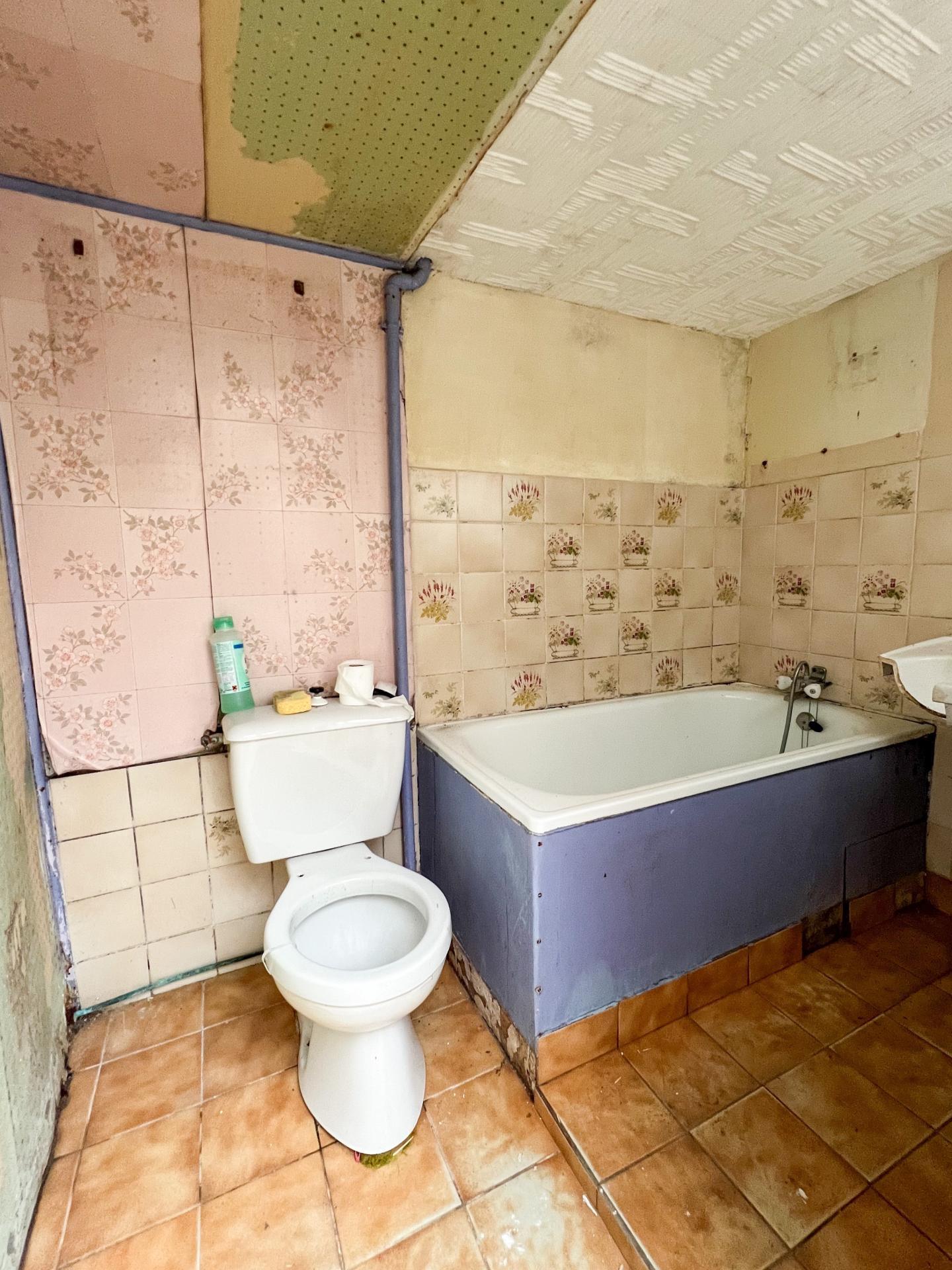 Miniature photo - 8 / 12