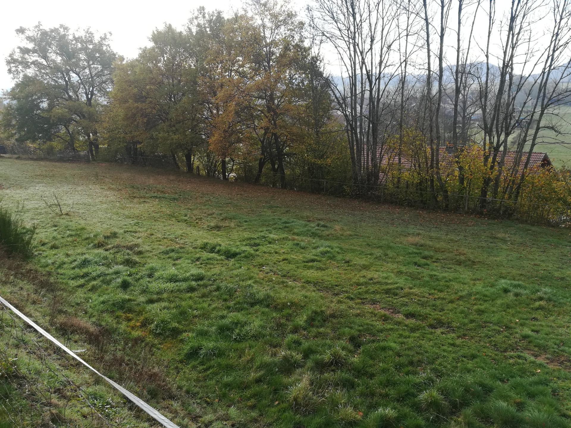 Miniature photo - 3 / 4