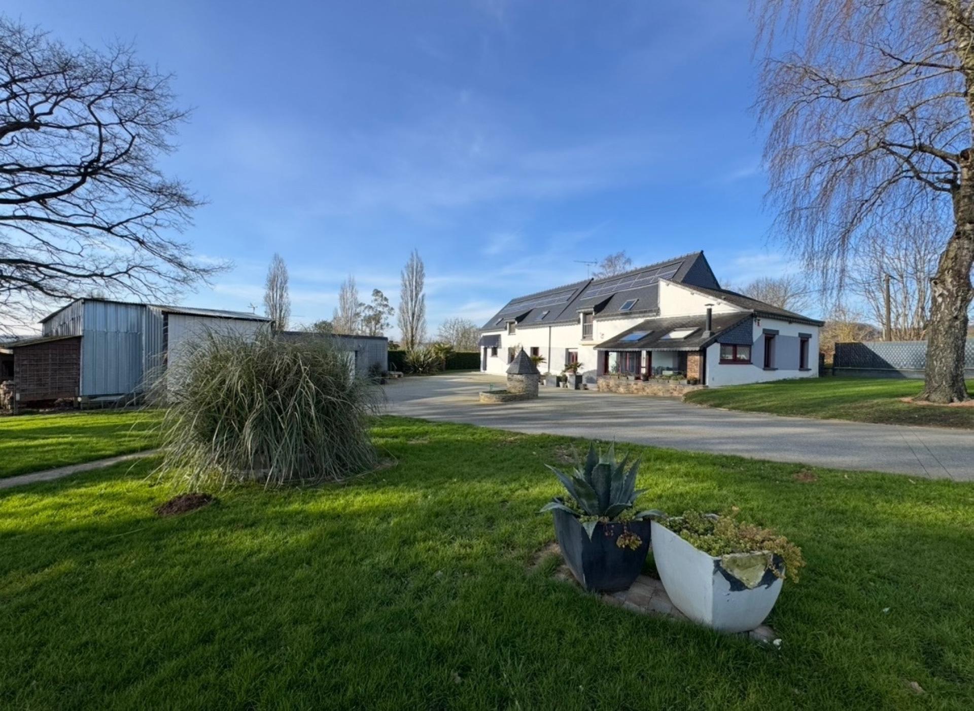 Miniature photo - 2 / 15