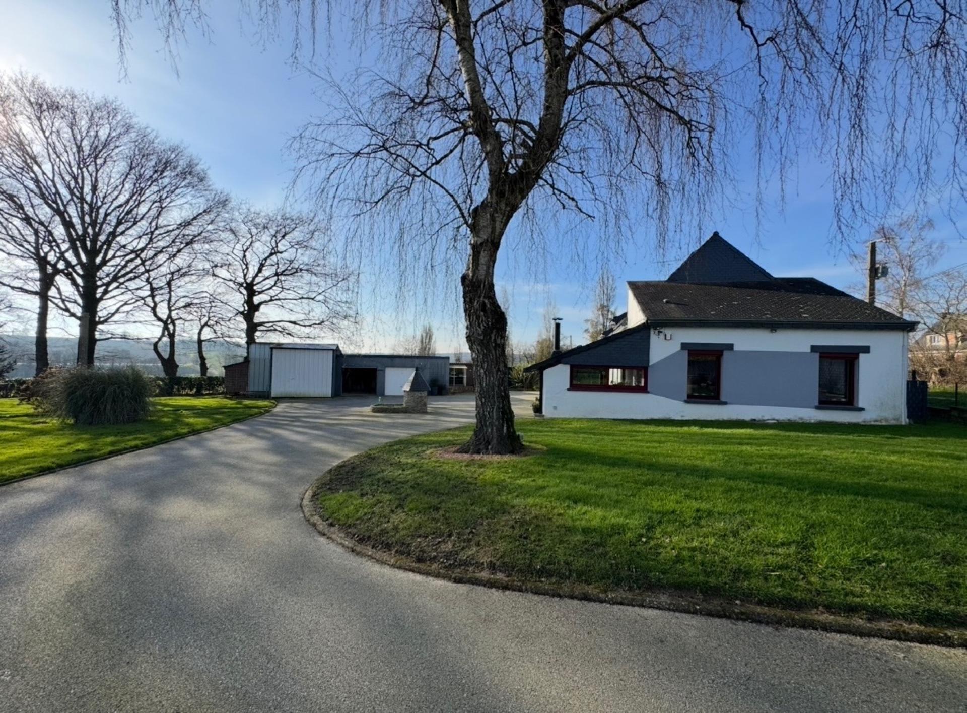 Miniature photo - 4 / 15