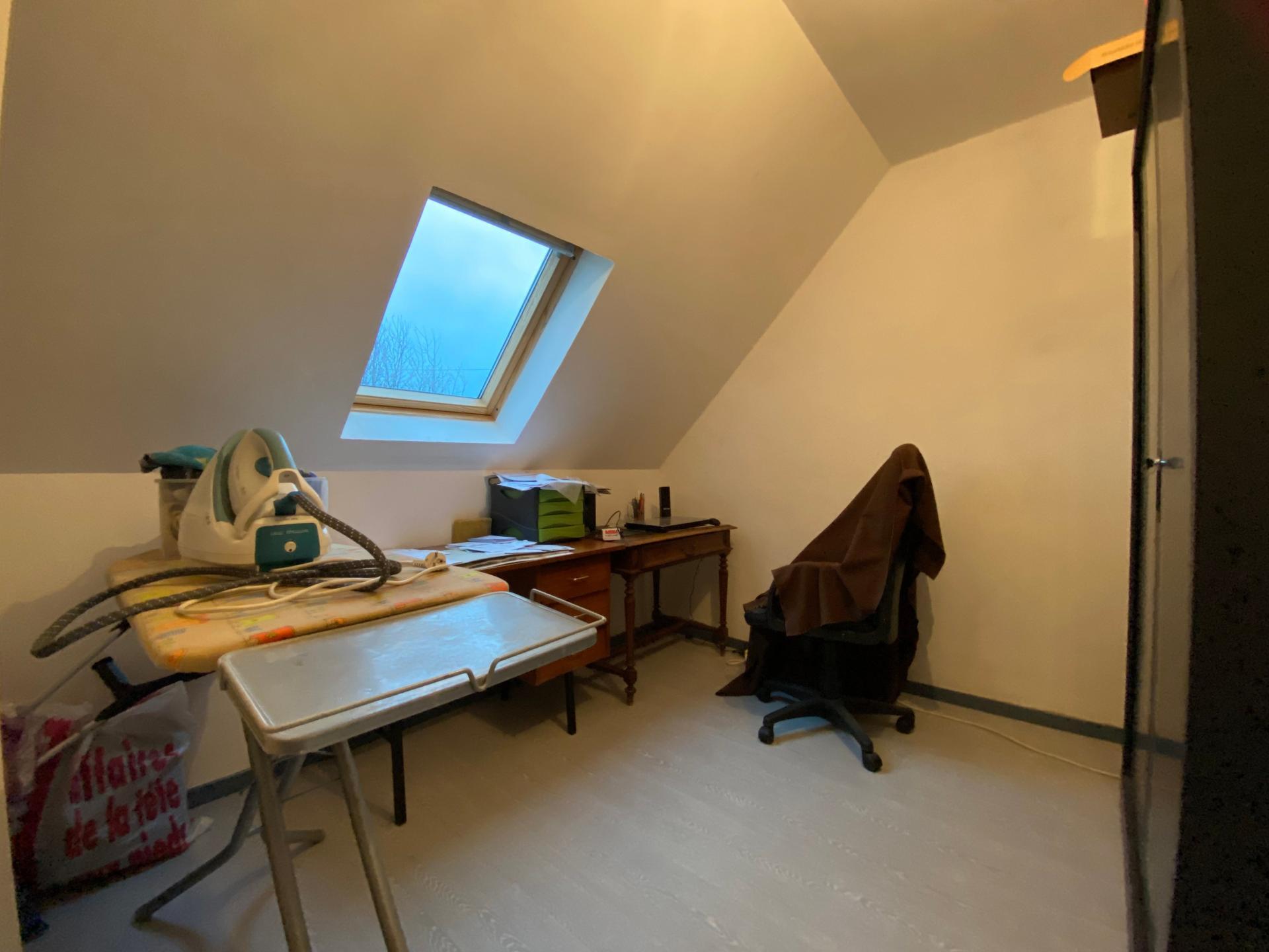 Miniature photo - 4 / 12