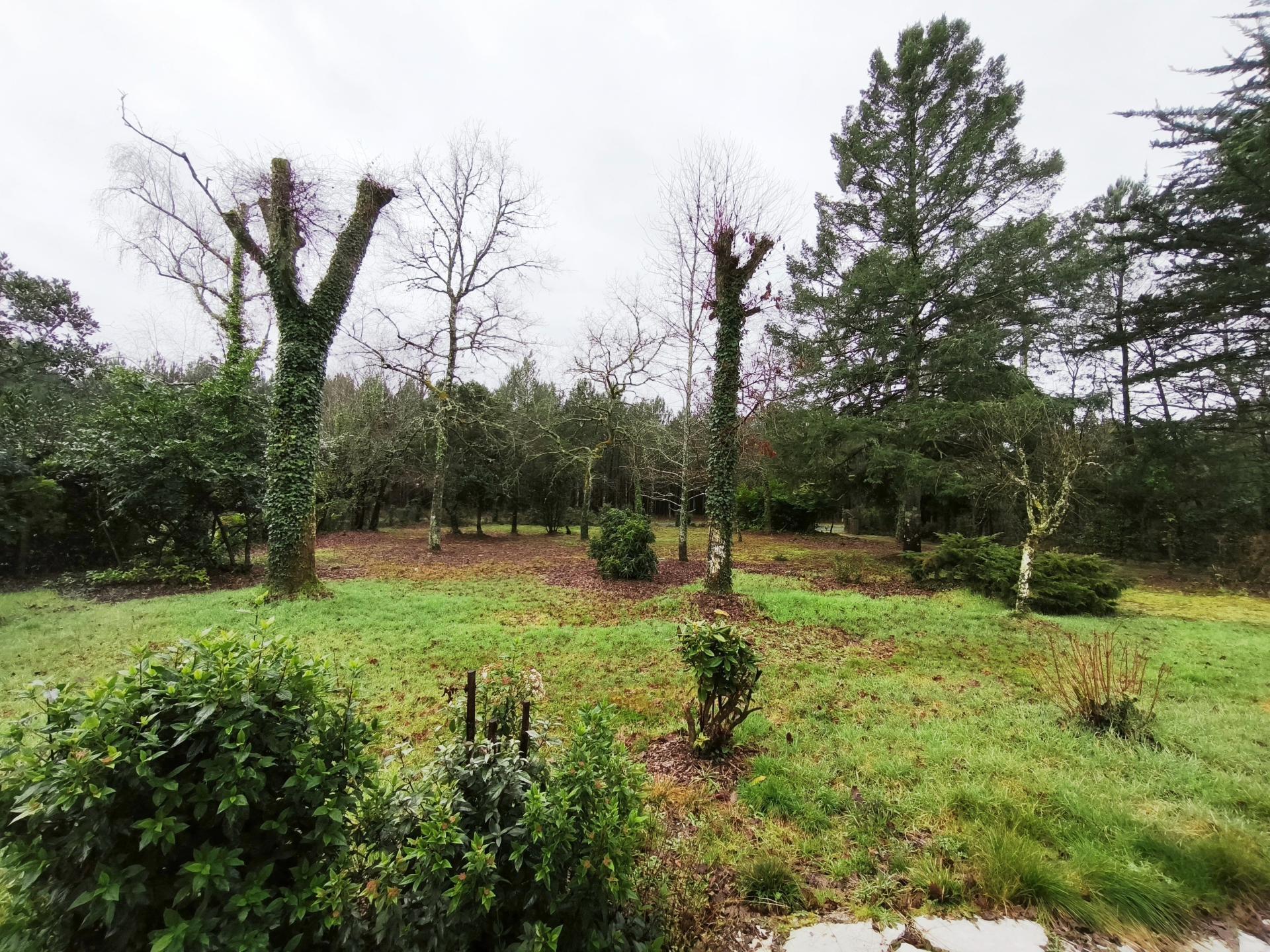 Miniature photo - 9 / 11