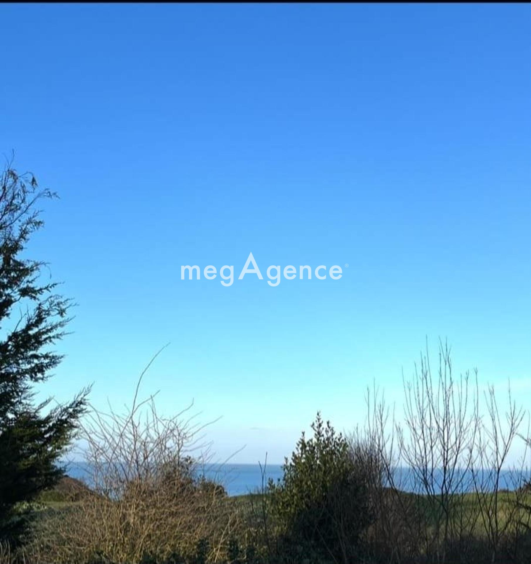 Miniature photo - 13 / 13