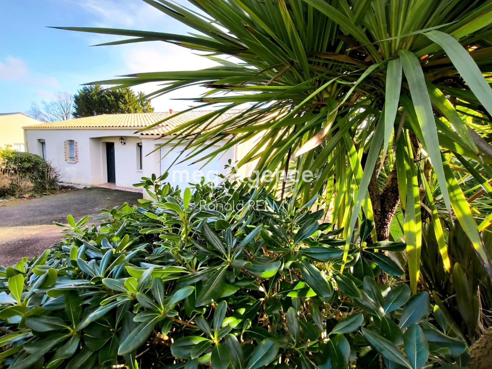 Miniature photo - 2 / 13