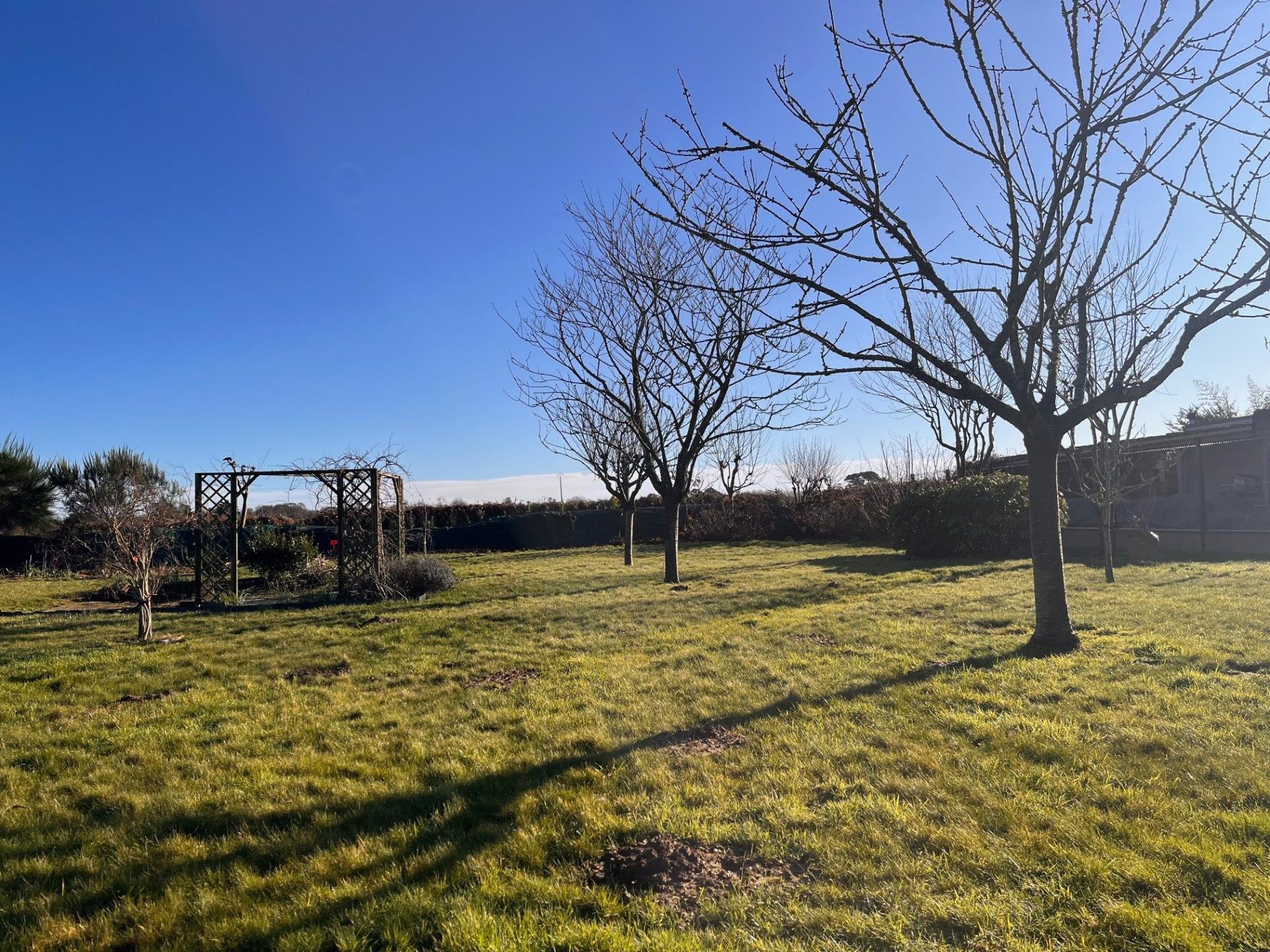 Miniature photo - 2 / 4