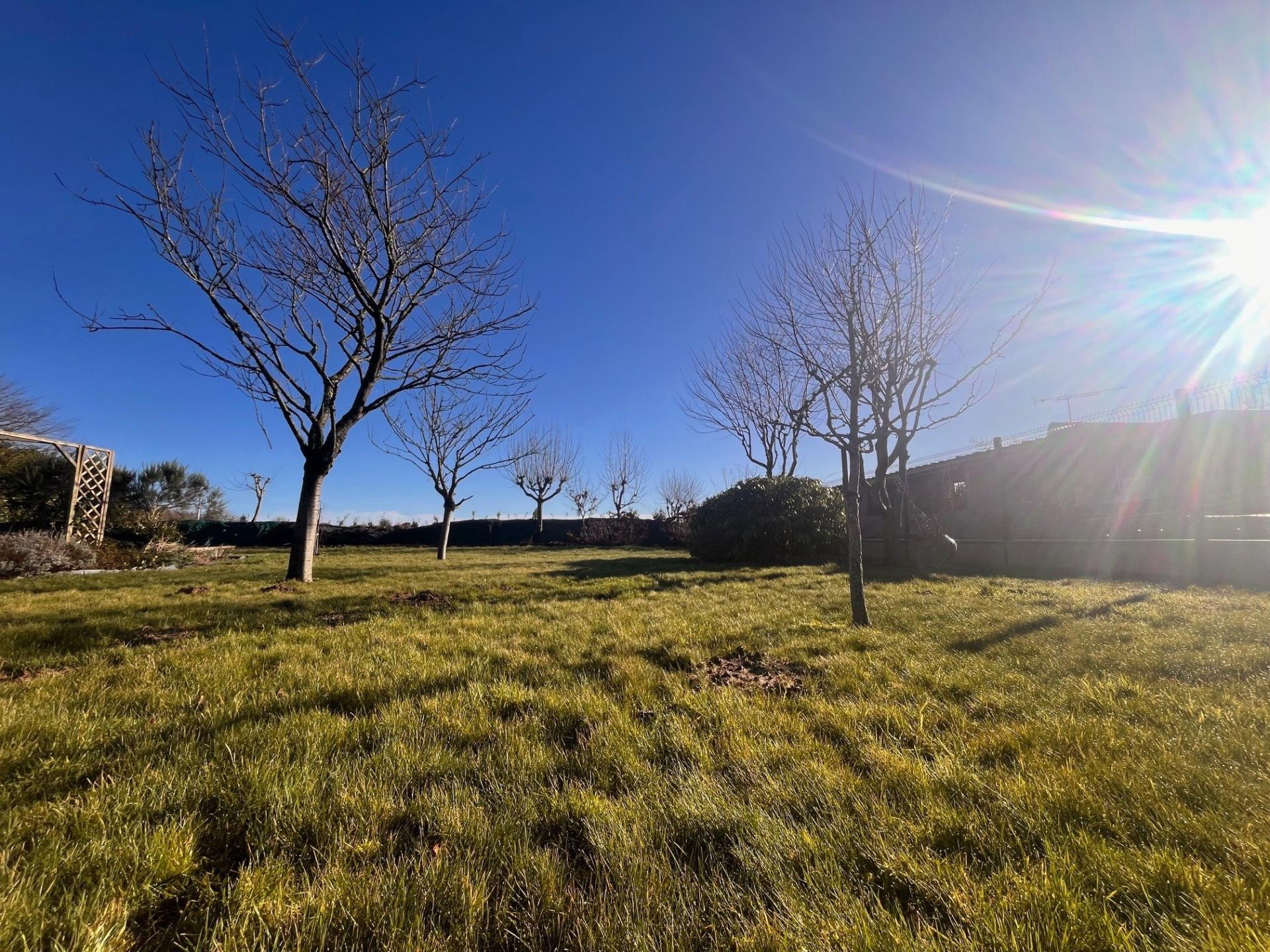 Miniature photo - 3 / 4