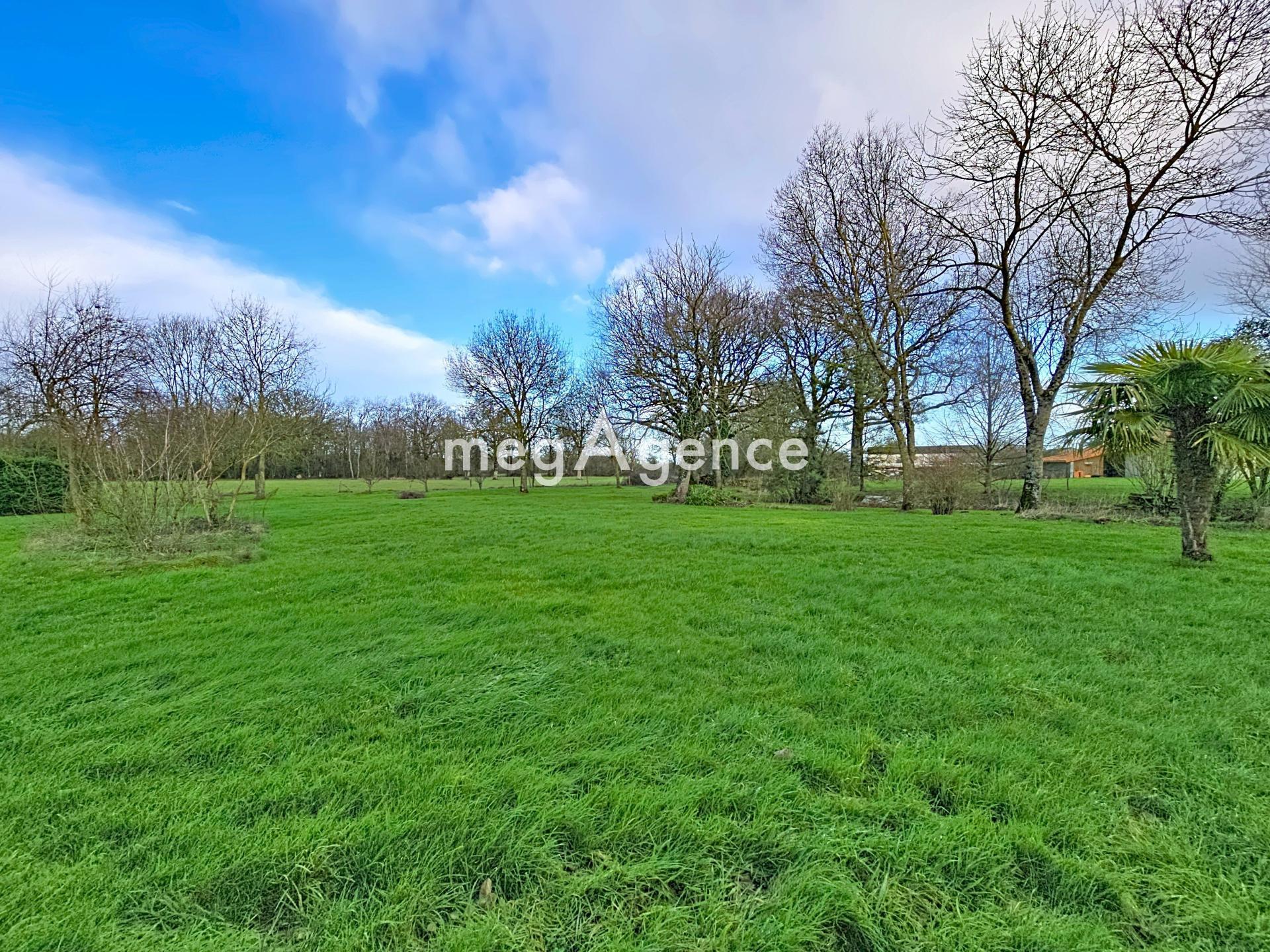 Miniature photo - 13 / 14