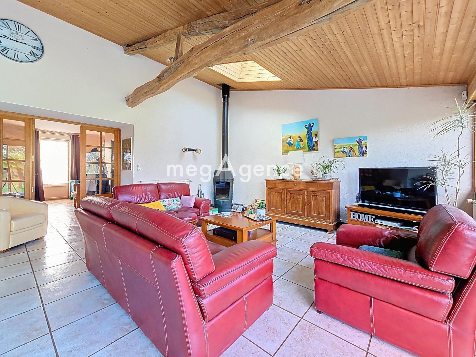 Miniature photo - 4 / 14