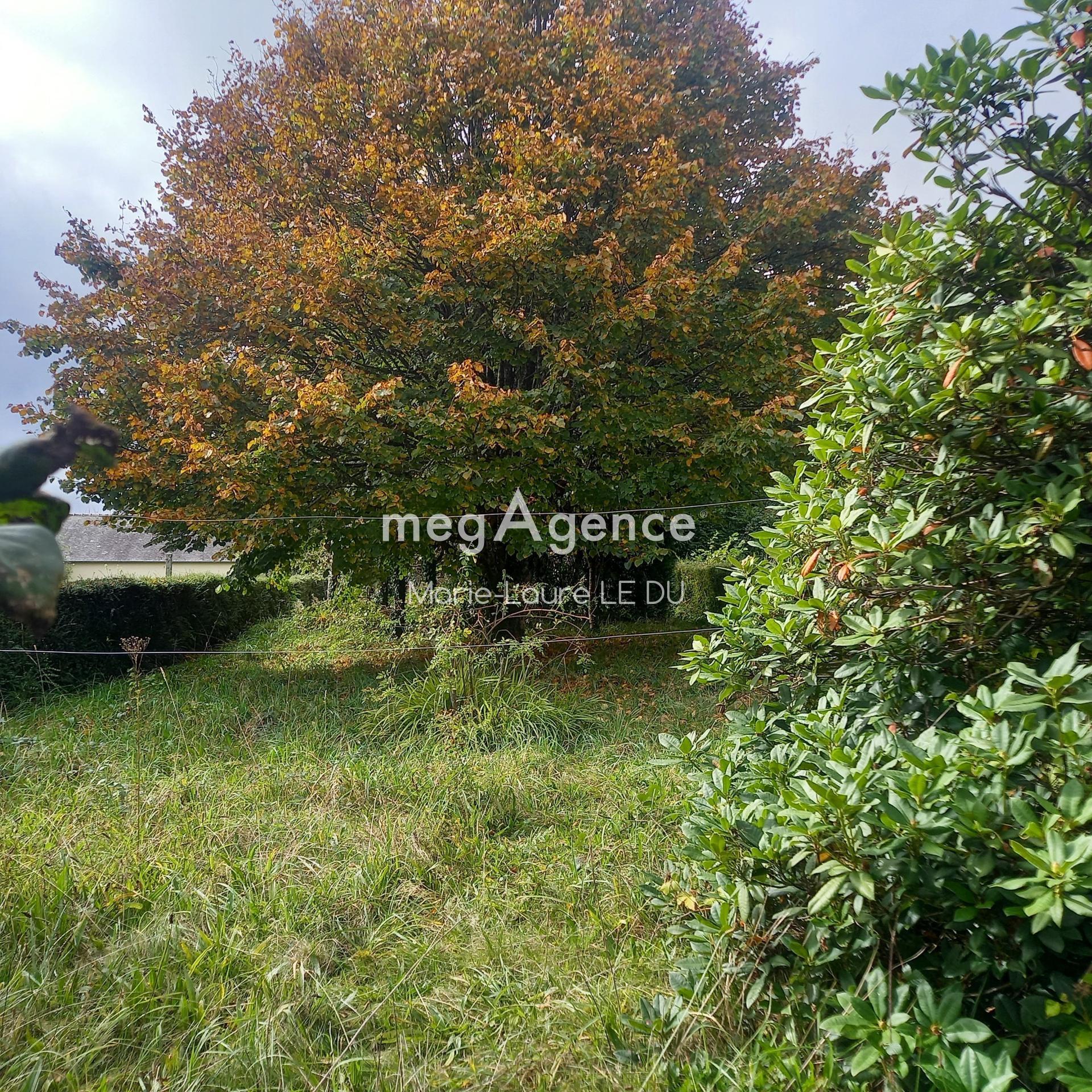 Miniature photo - 2 / 16