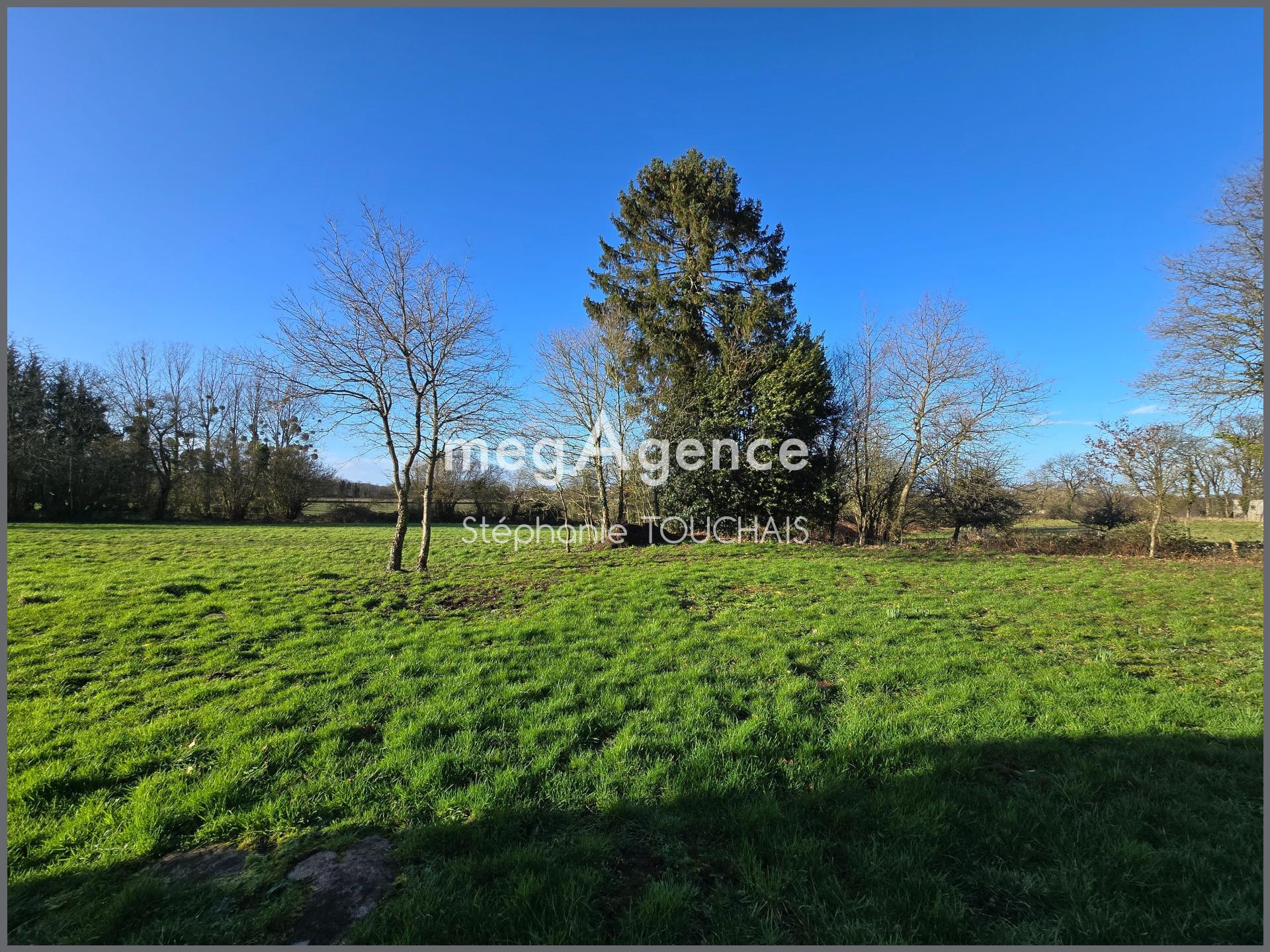 Miniature photo - 11 / 12