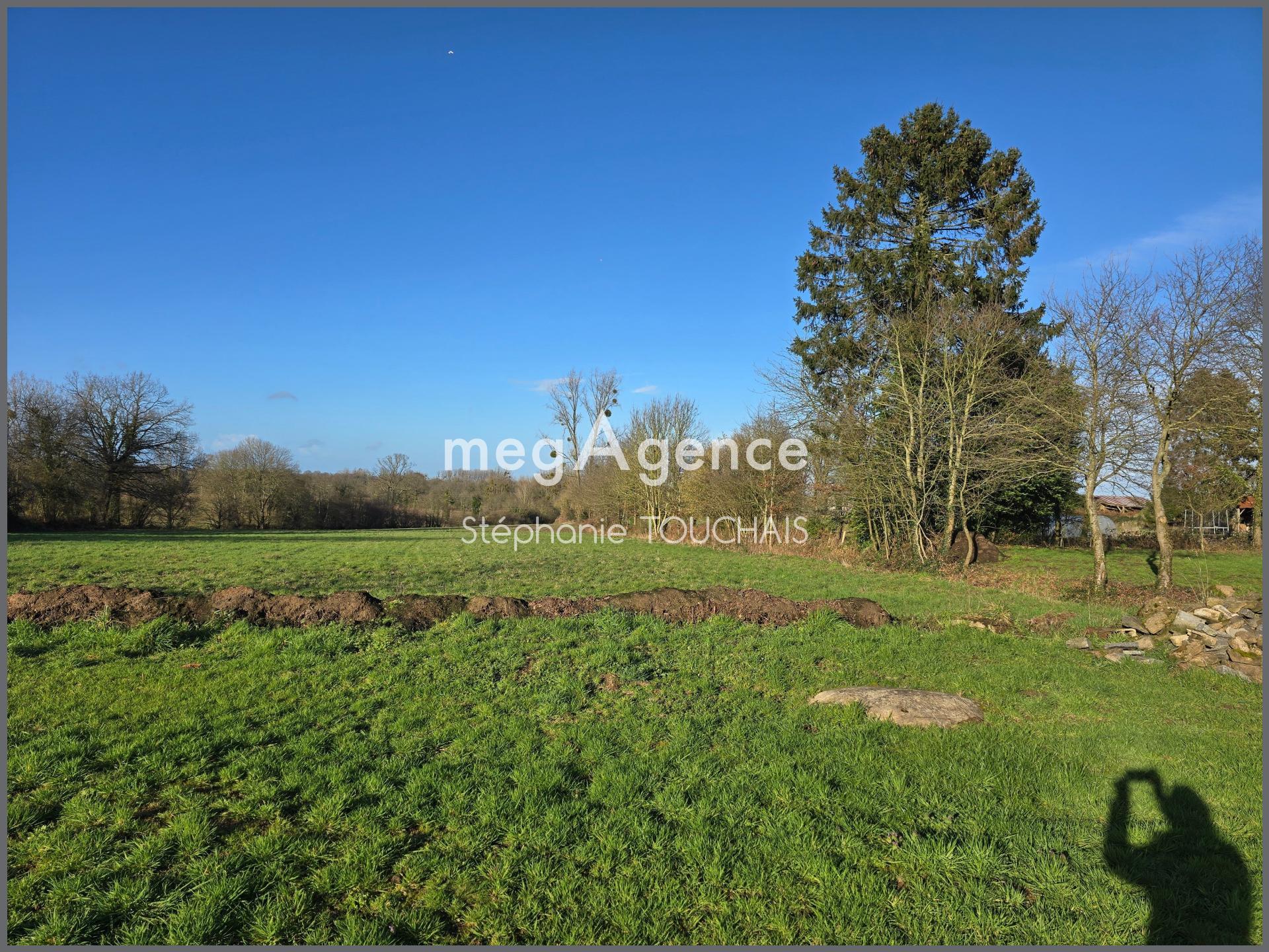 Miniature photo - 12 / 12