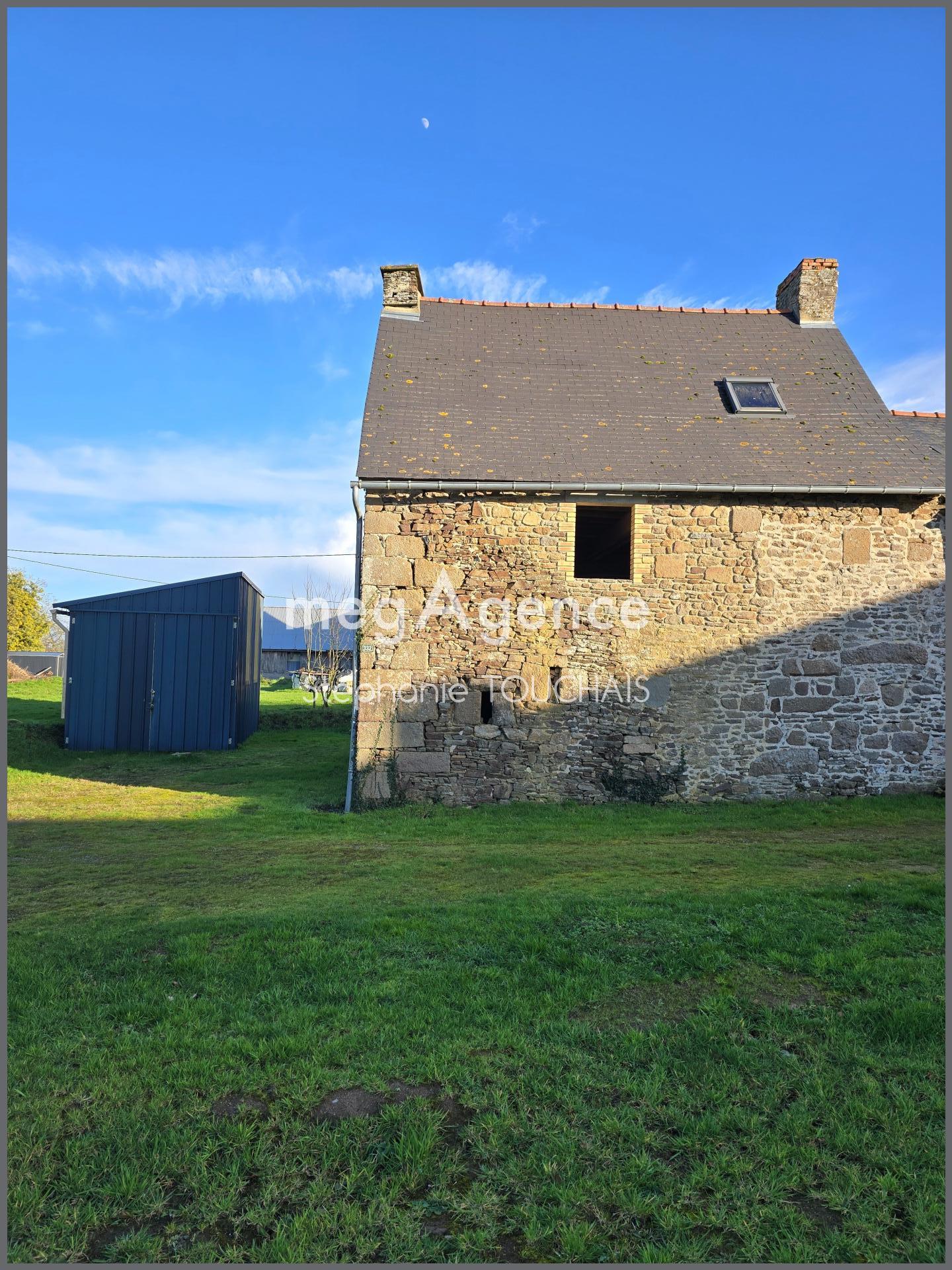 Miniature photo - 4 / 12