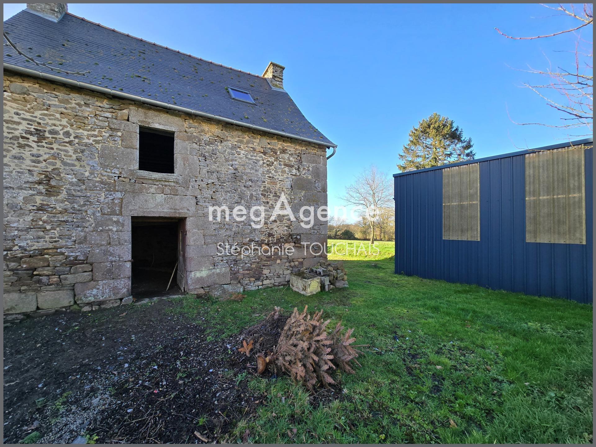 Miniature photo - 2 / 12