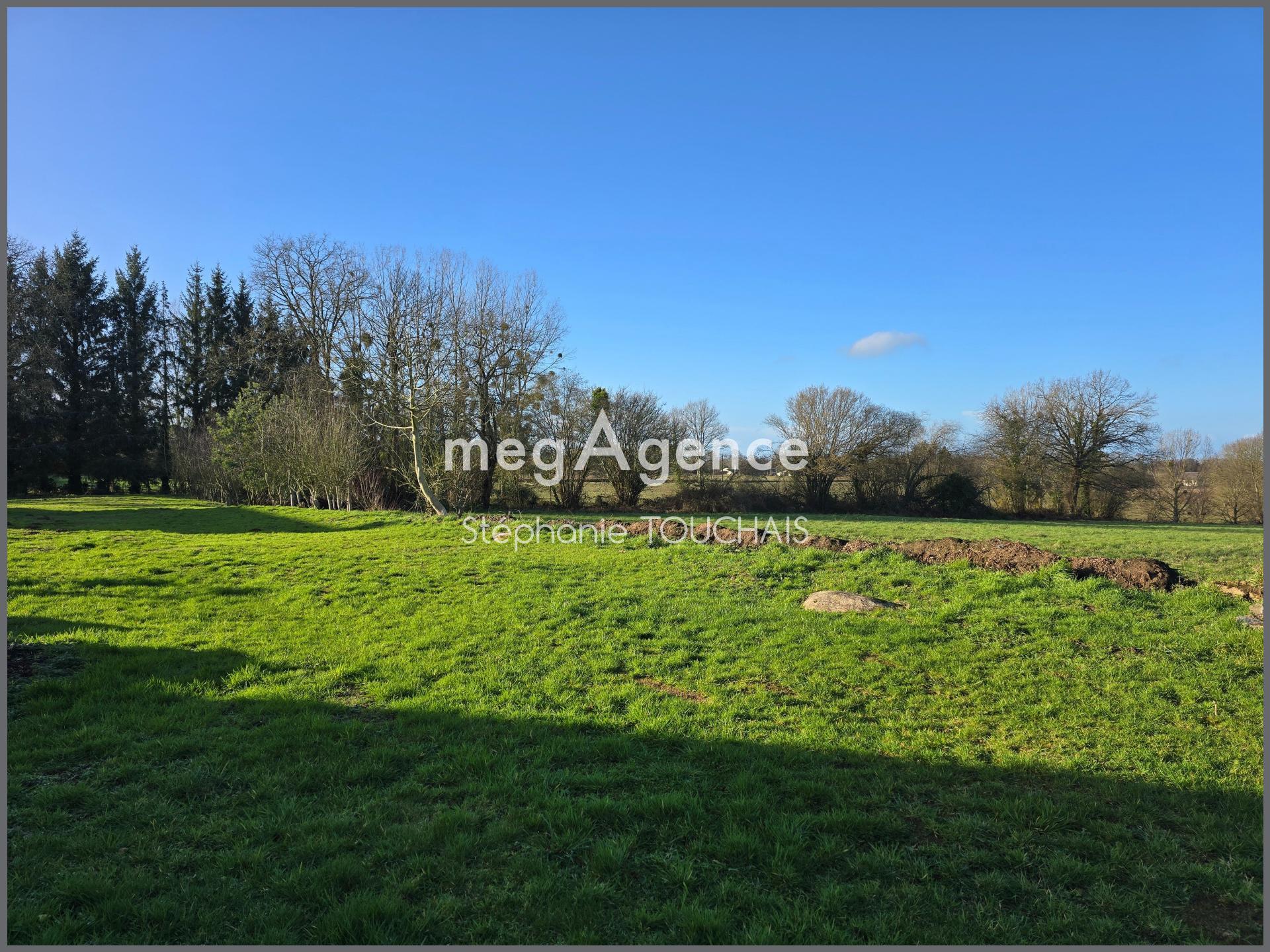 Miniature photo - 10 / 12