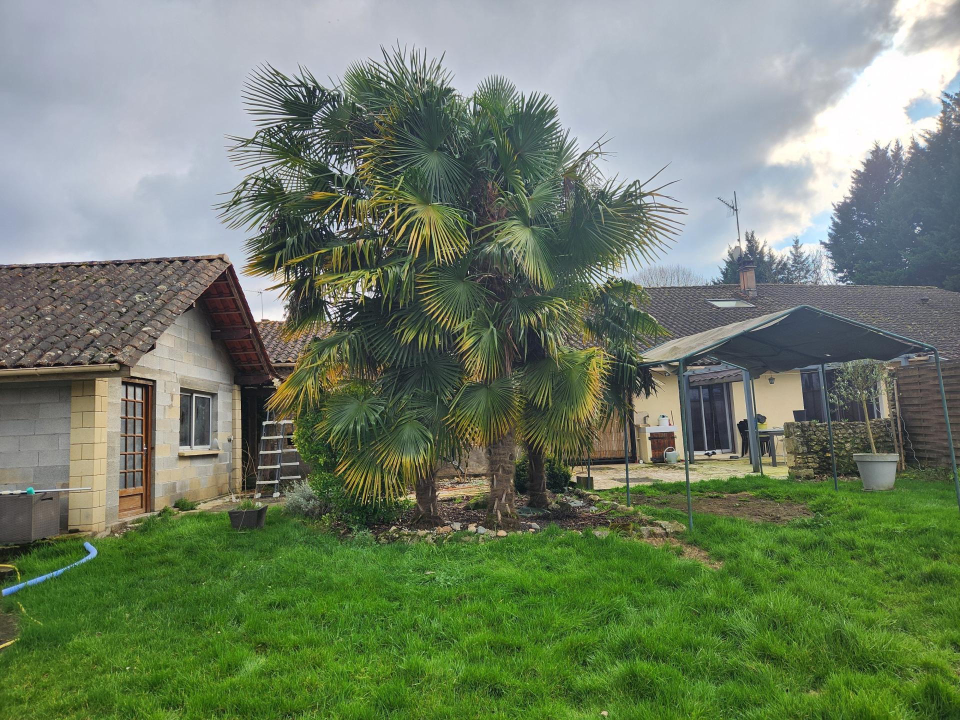 Miniature photo - 13 / 13