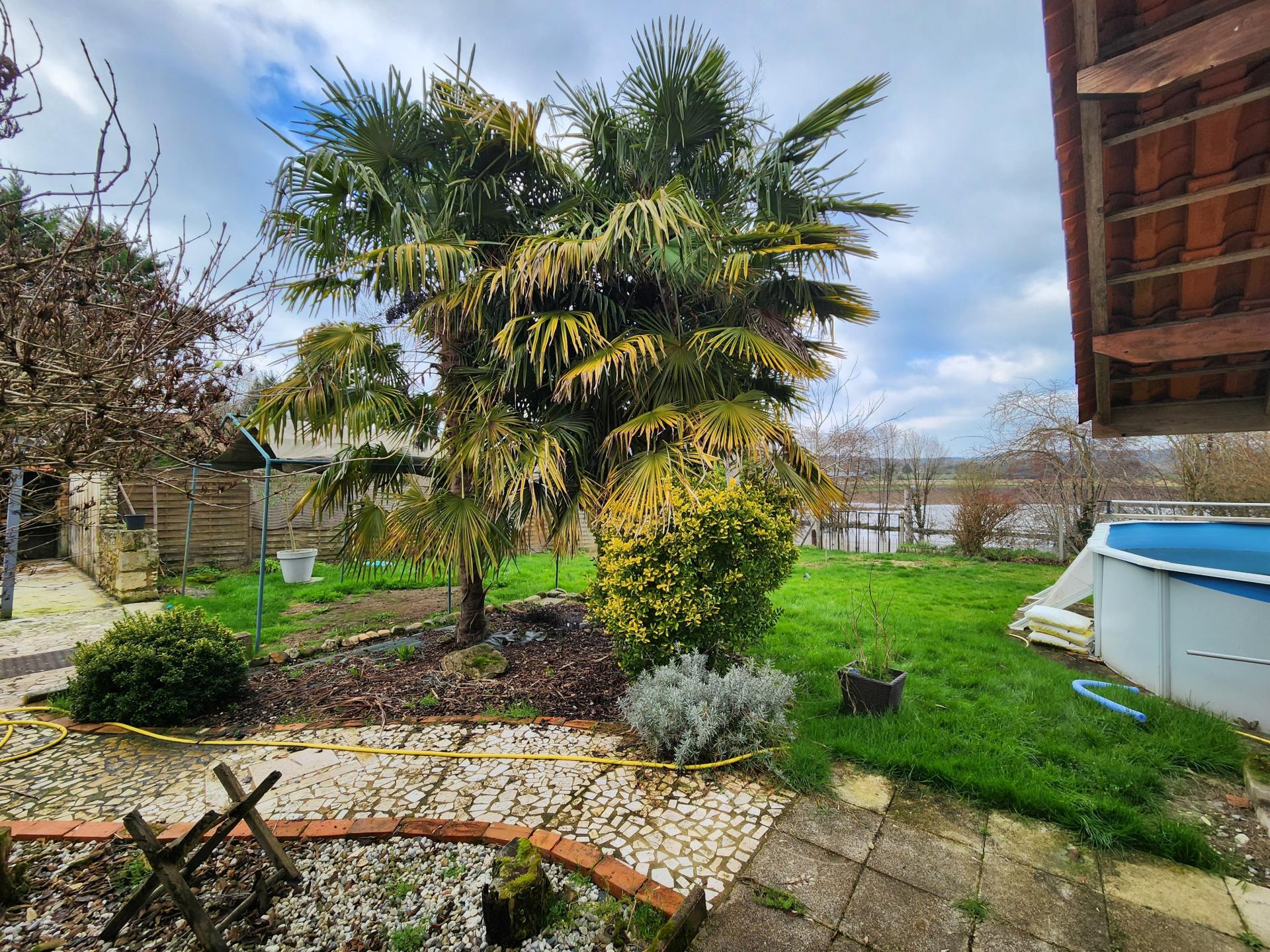 Miniature photo - 11 / 13