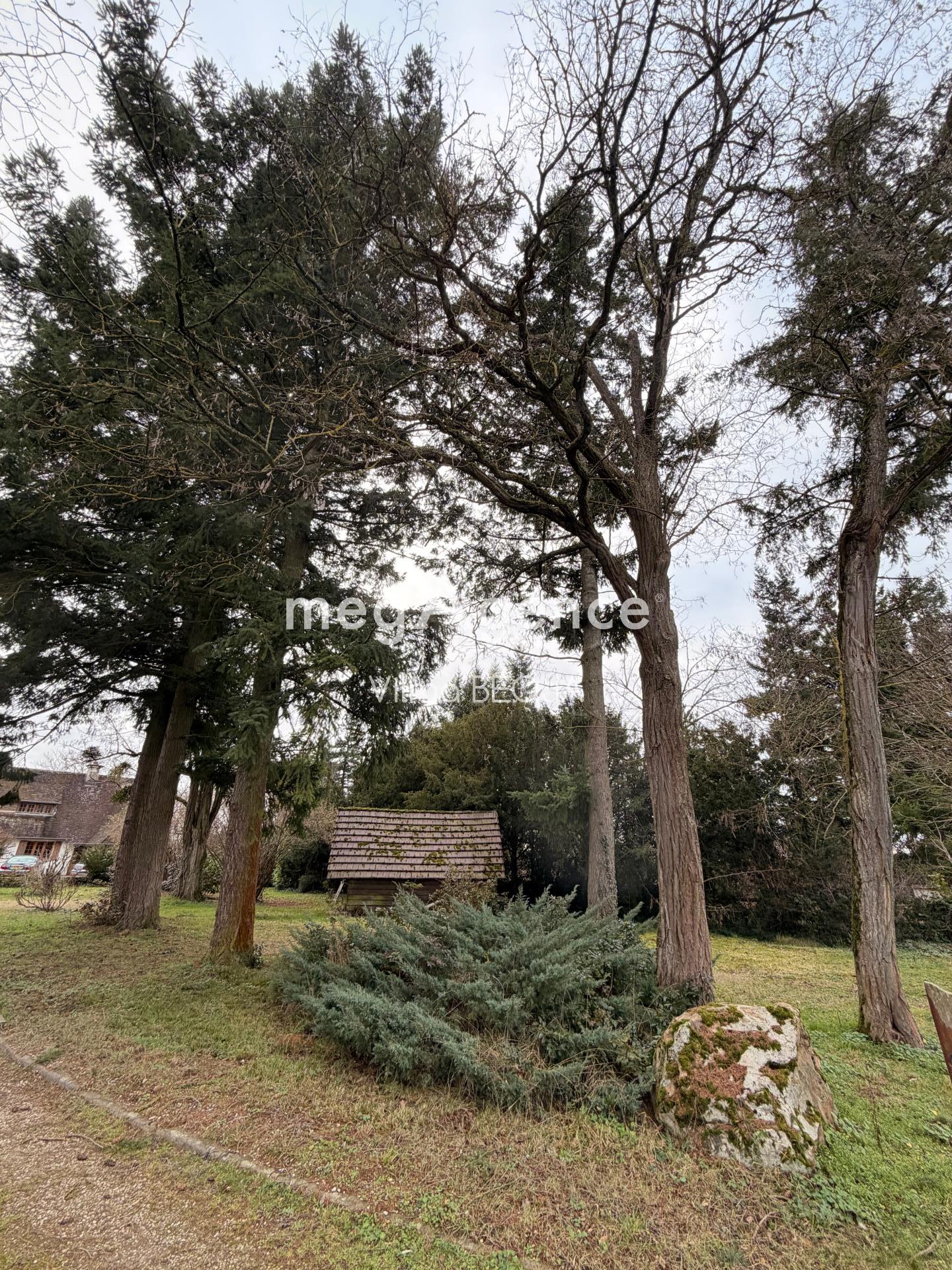 Miniature photo - 19 / 19