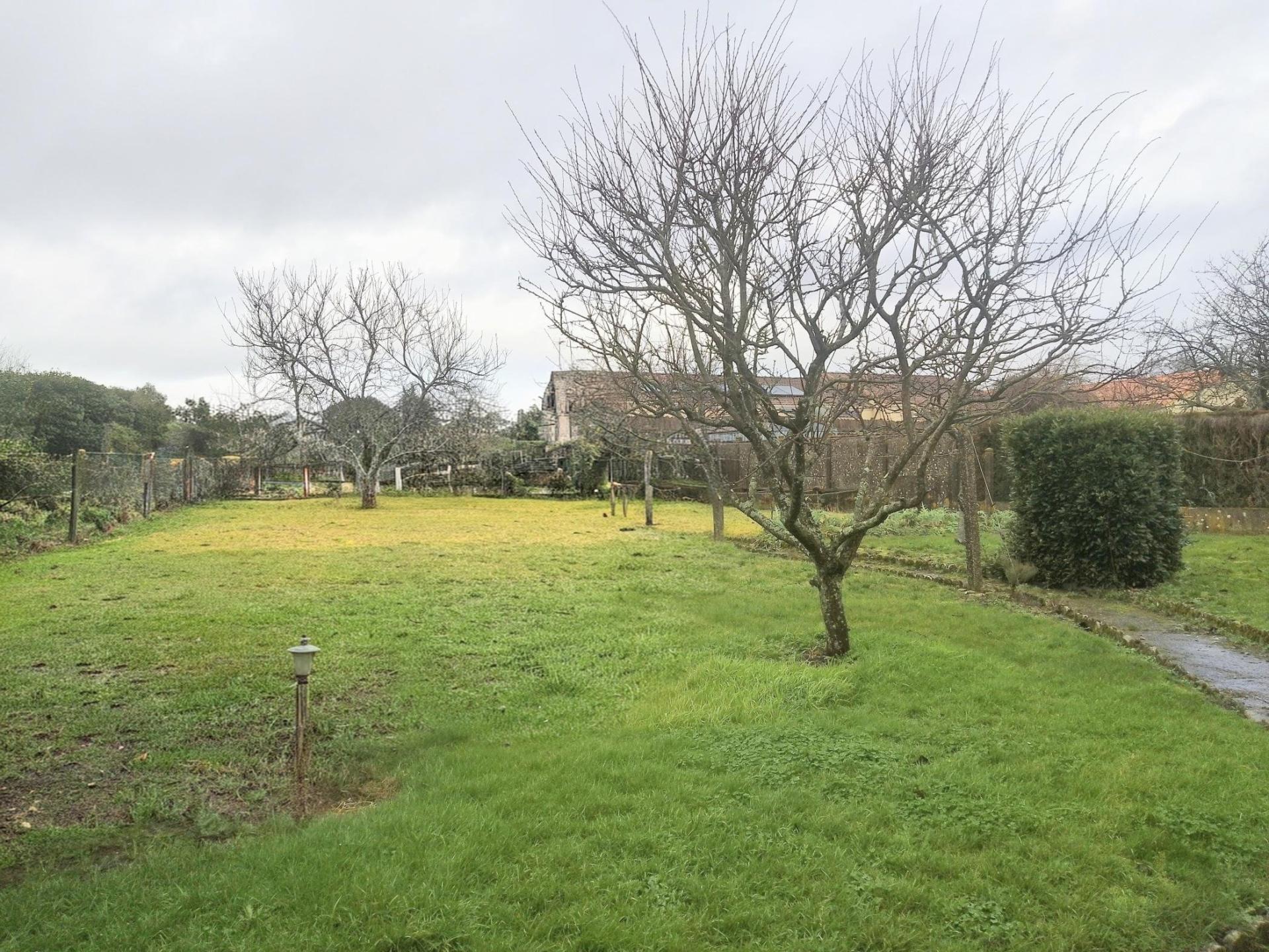 Miniature photo - 9 / 10