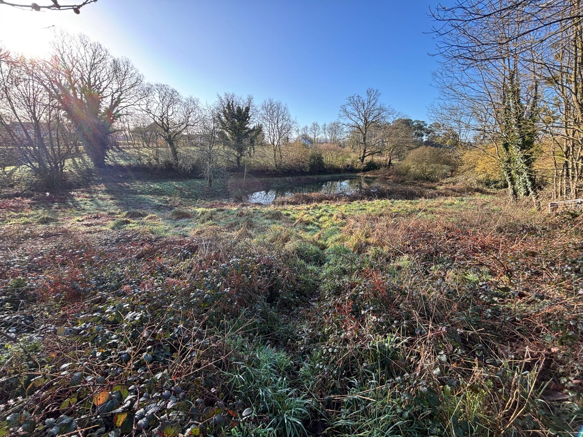 Miniature photo - 3 / 4