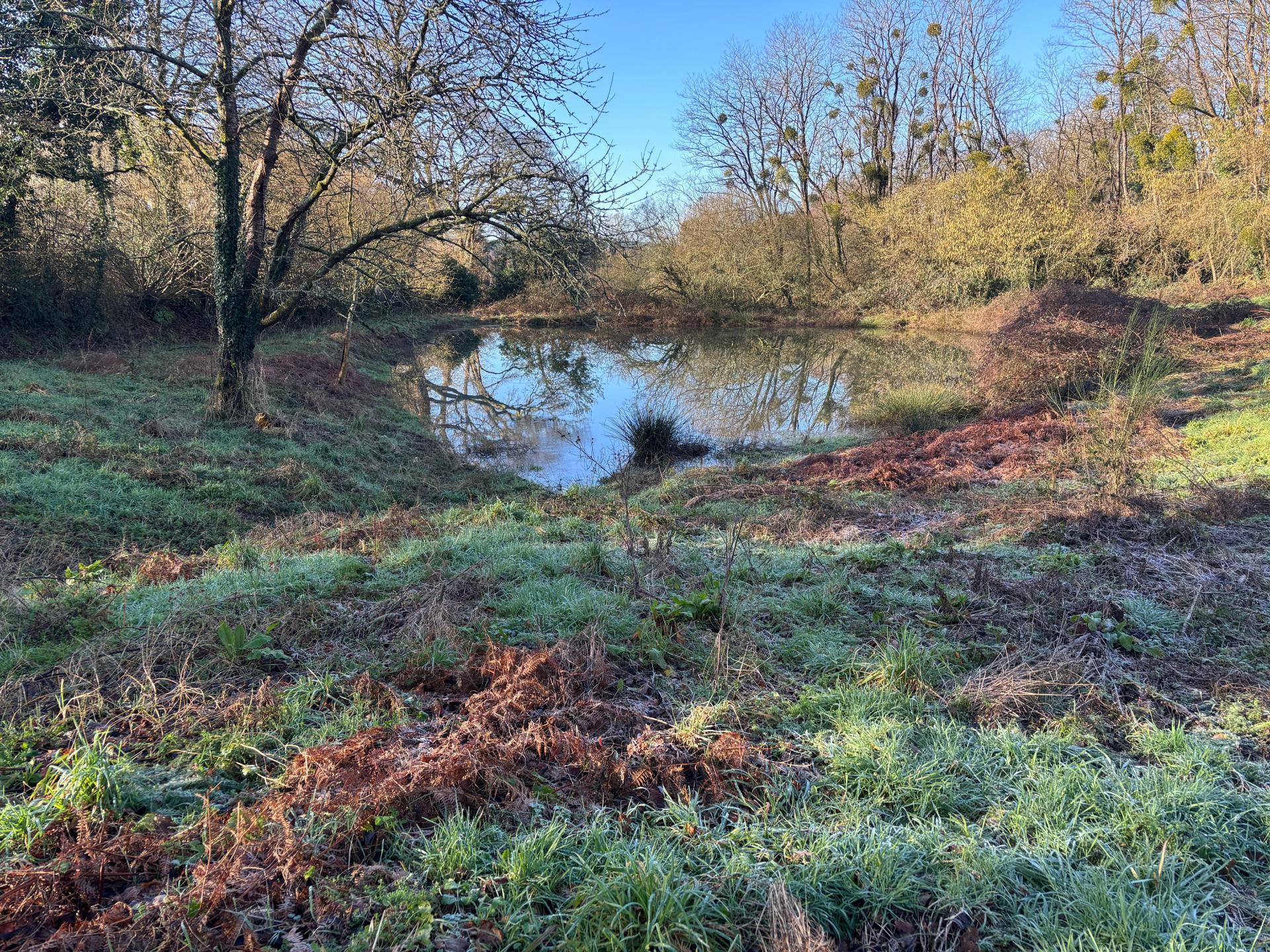 Miniature photo - 4 / 4