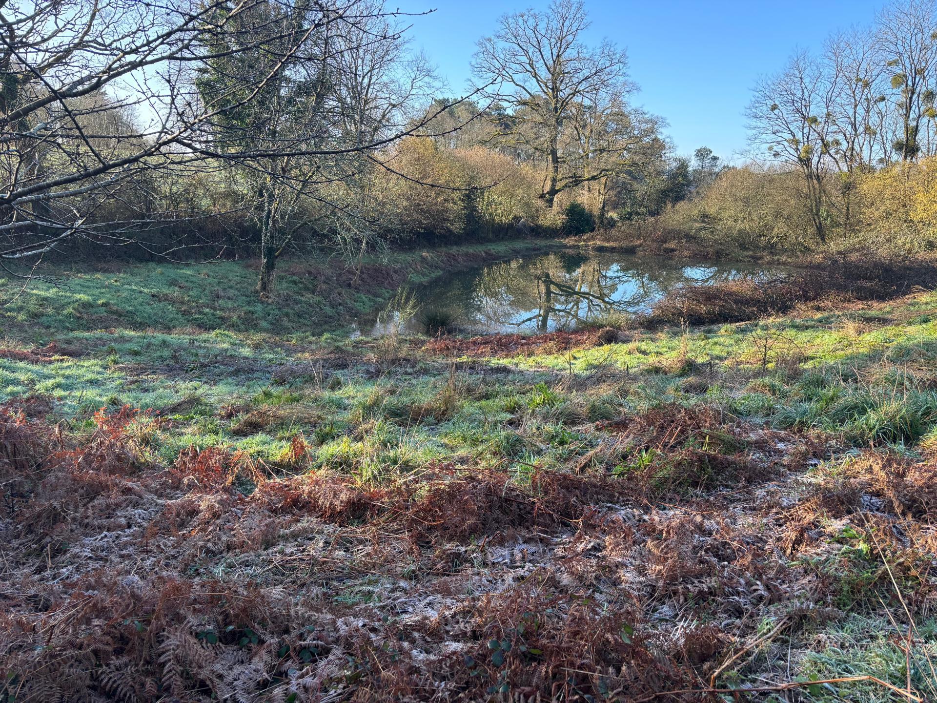 Miniature photo - 2 / 4