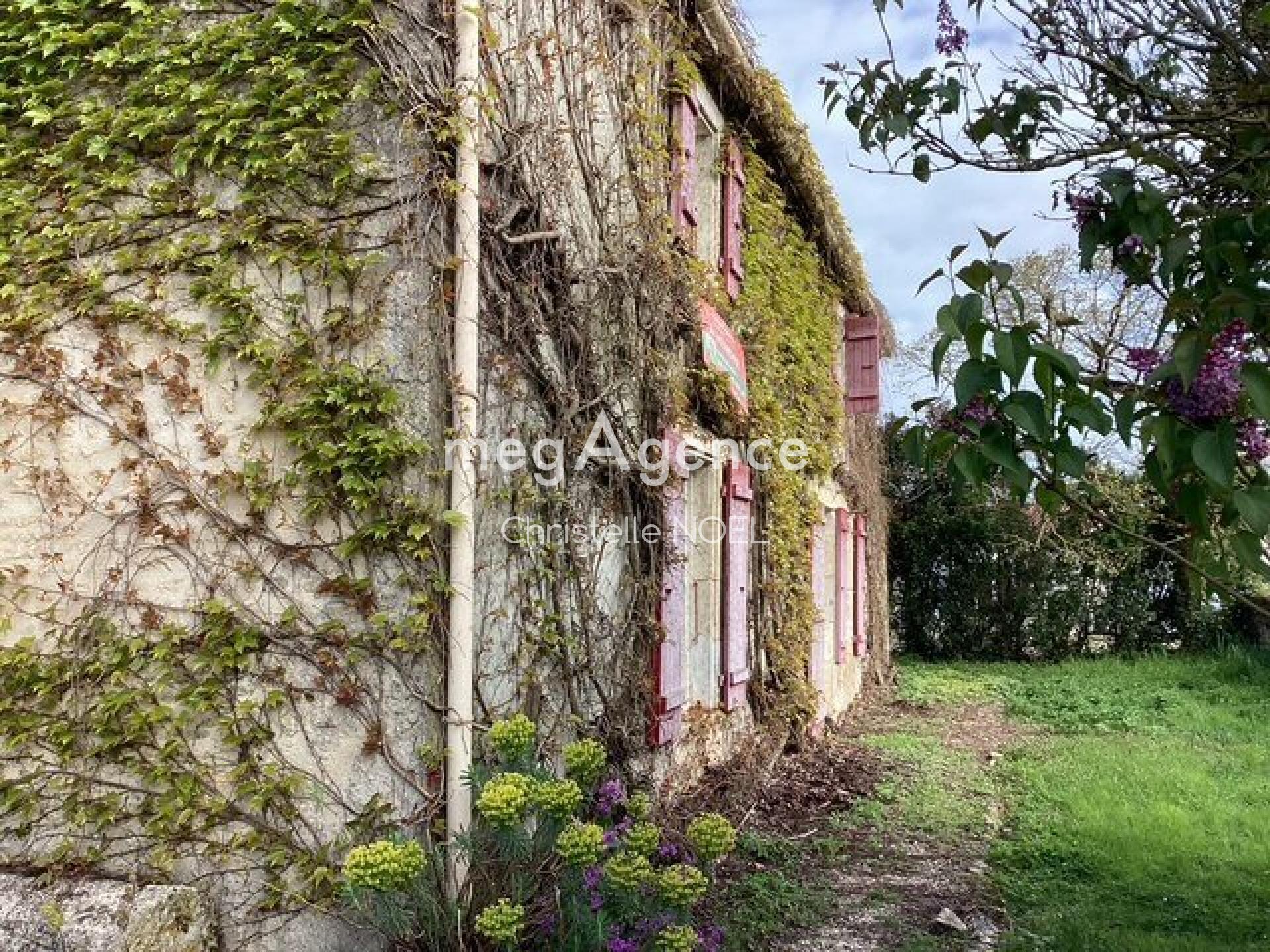 Miniature photo - 4 / 15