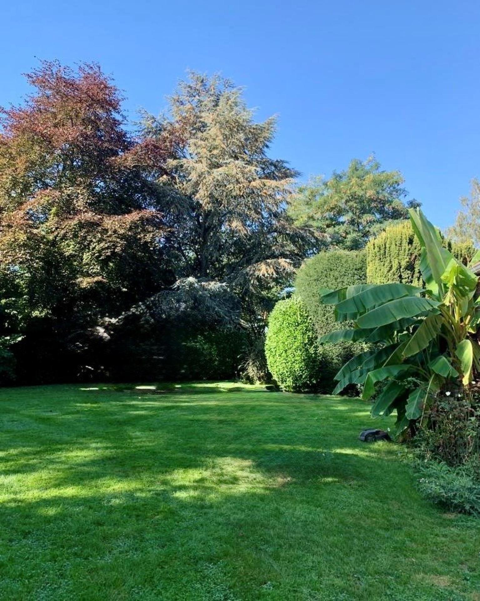 Miniature photo - 8 / 9