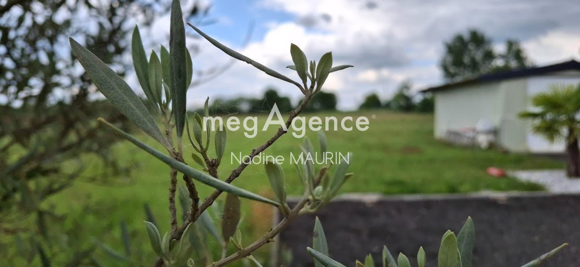 Photographie descriptive du bien