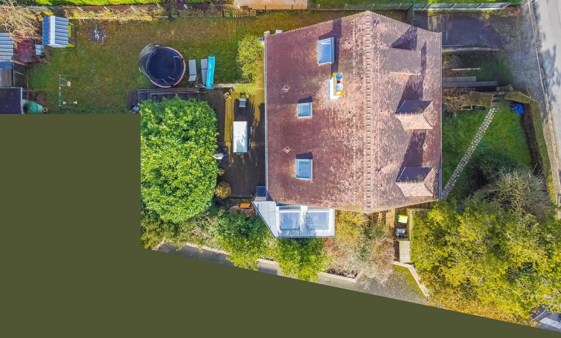 Miniature photo - 12 / 12