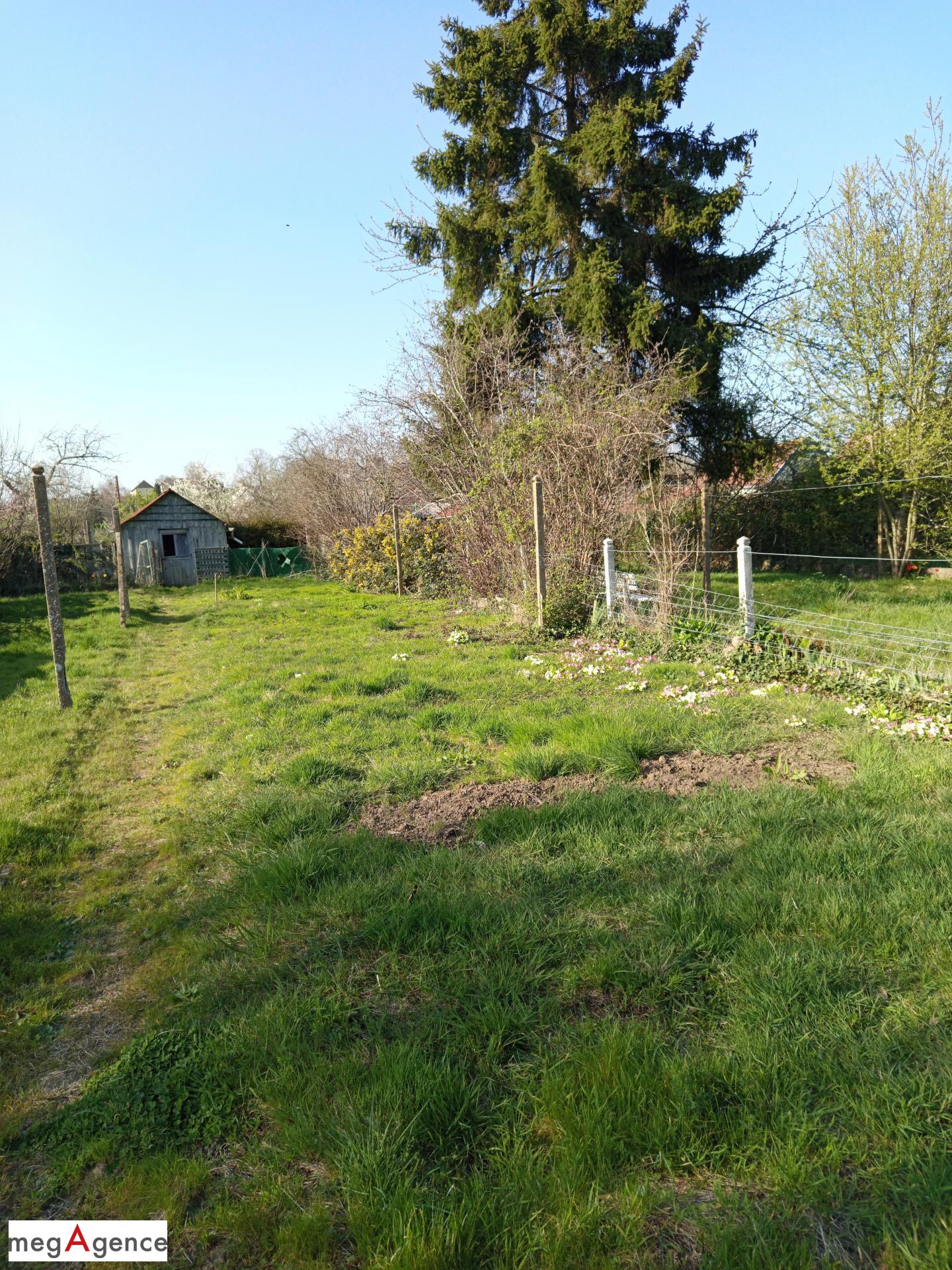 Miniature photo - 2 / 5