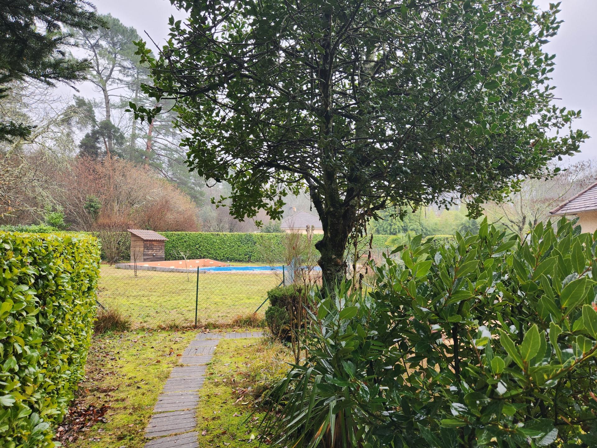 Miniature photo - 12 / 13