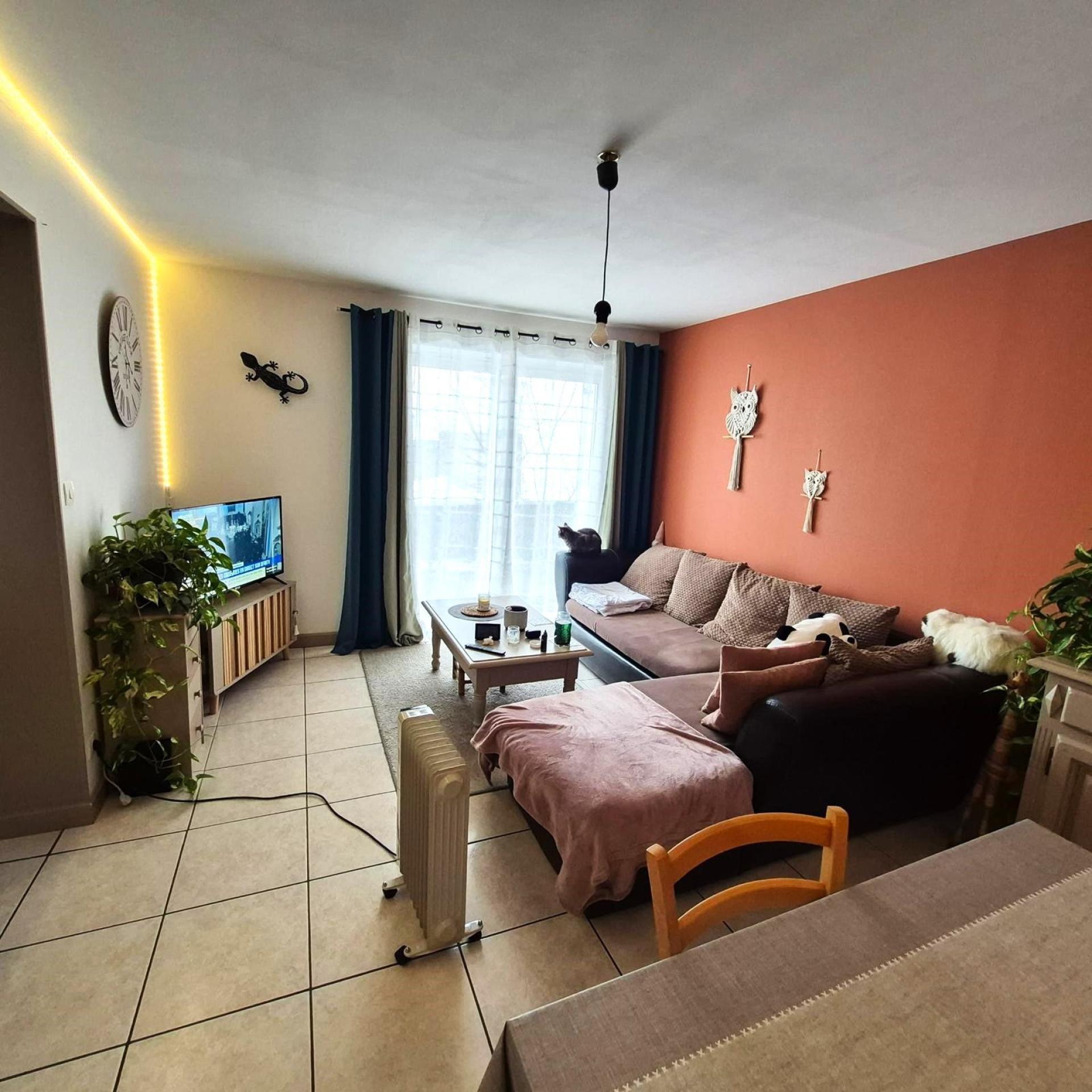 Miniature photo - 9 / 9