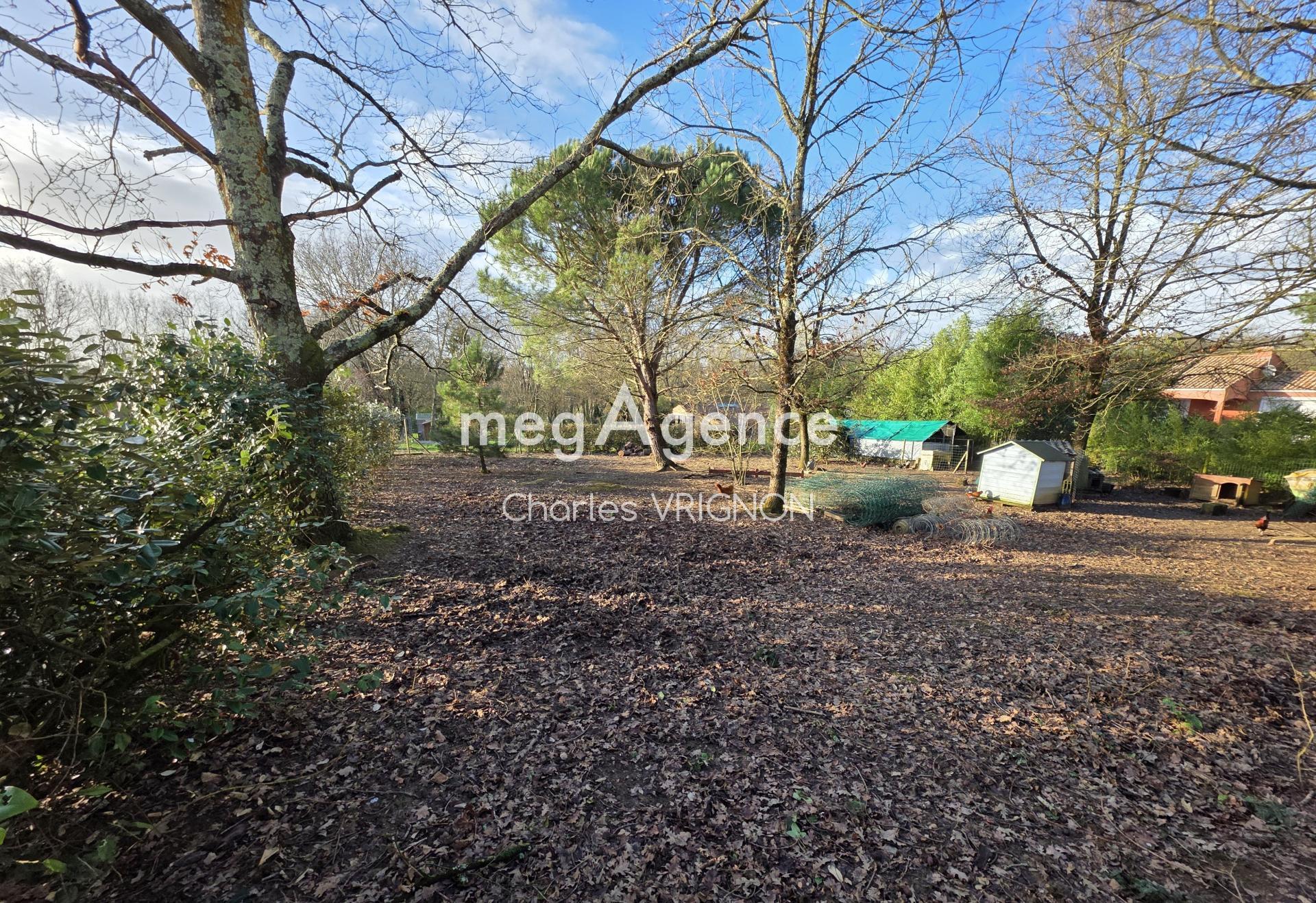 Miniature photo - 2 / 5