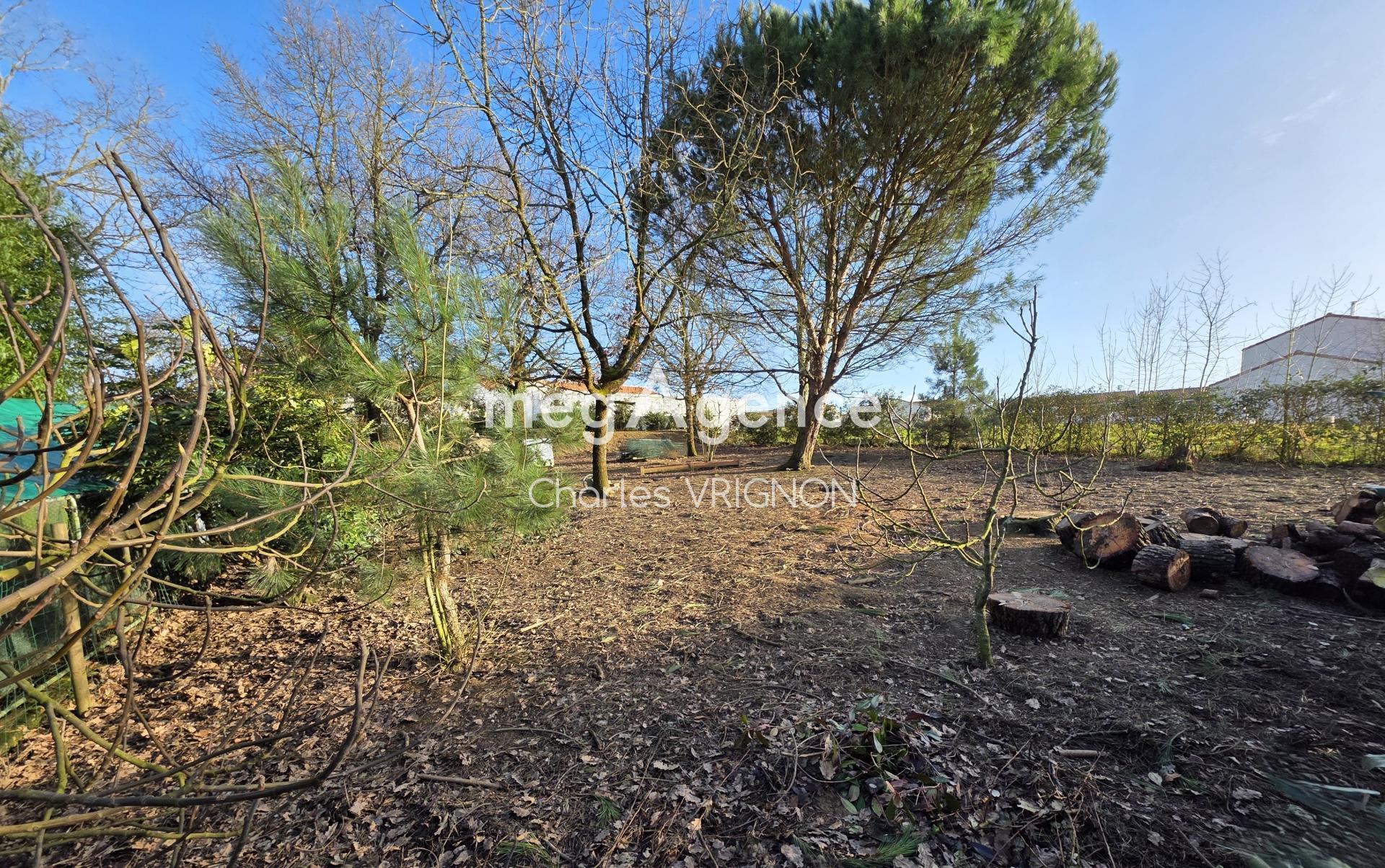 Miniature photo - 3 / 5