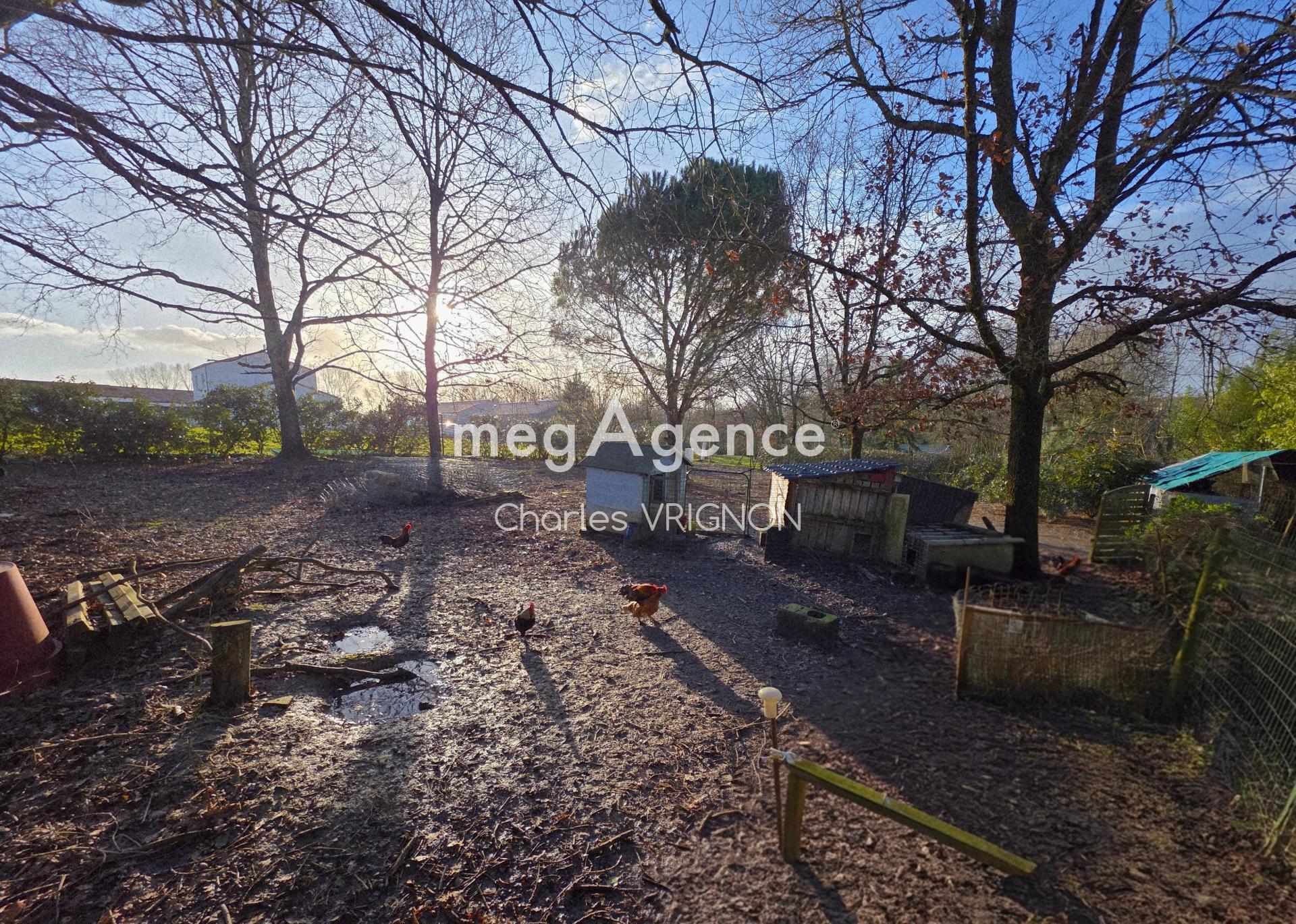 Miniature photo - 4 / 5