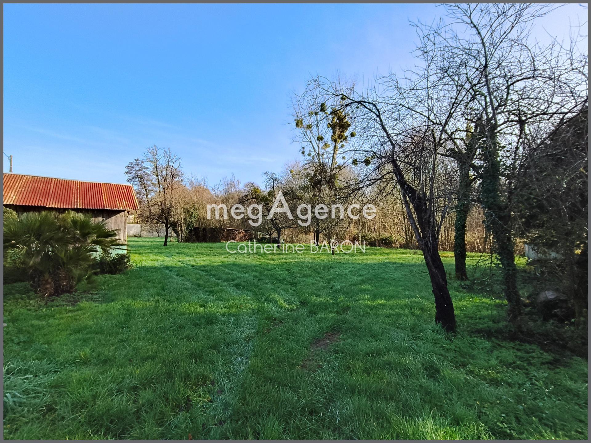 Miniature photo - 8 / 8